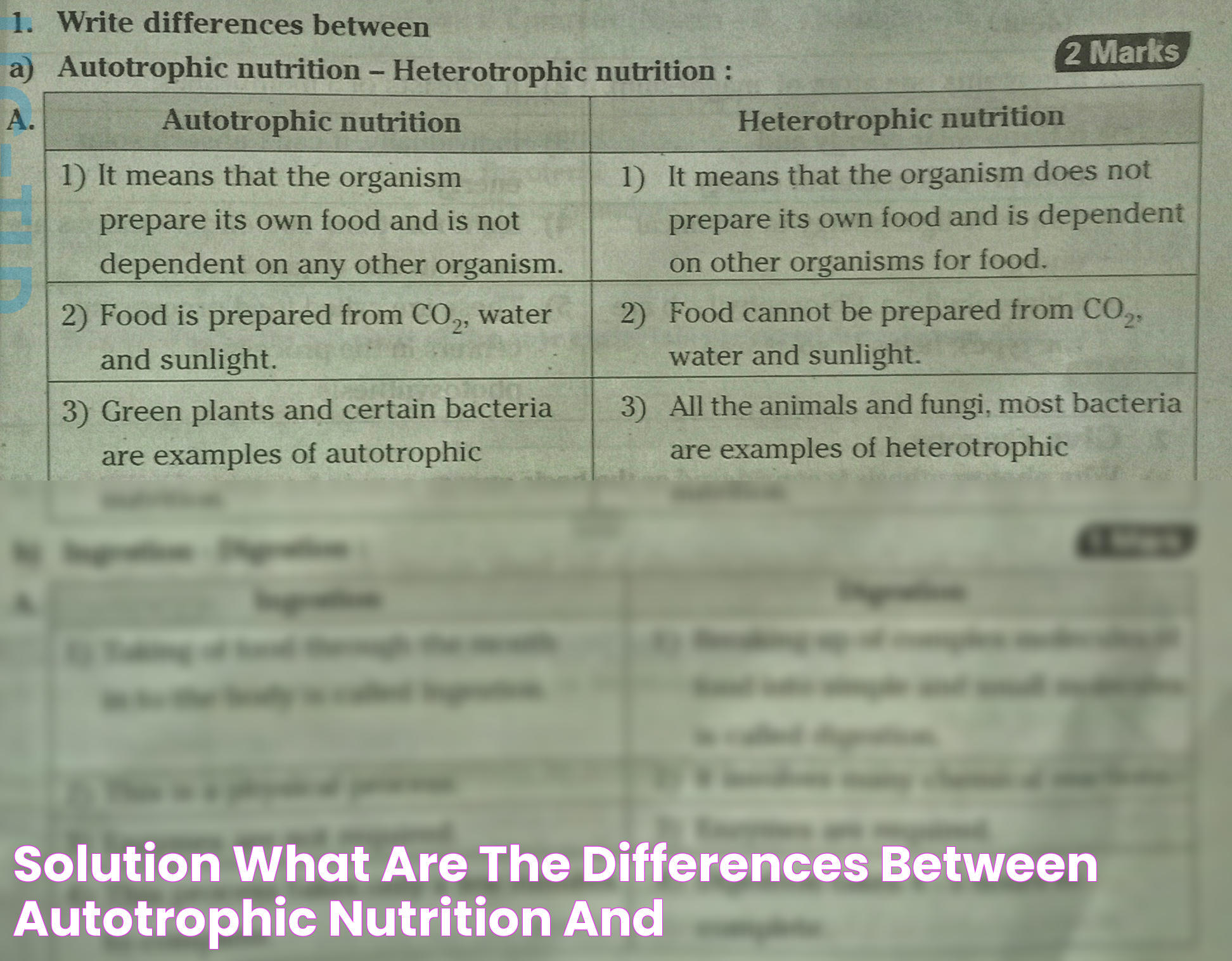 Fungi: Autotrophic Or Heterotrophic Insights And Characteristics