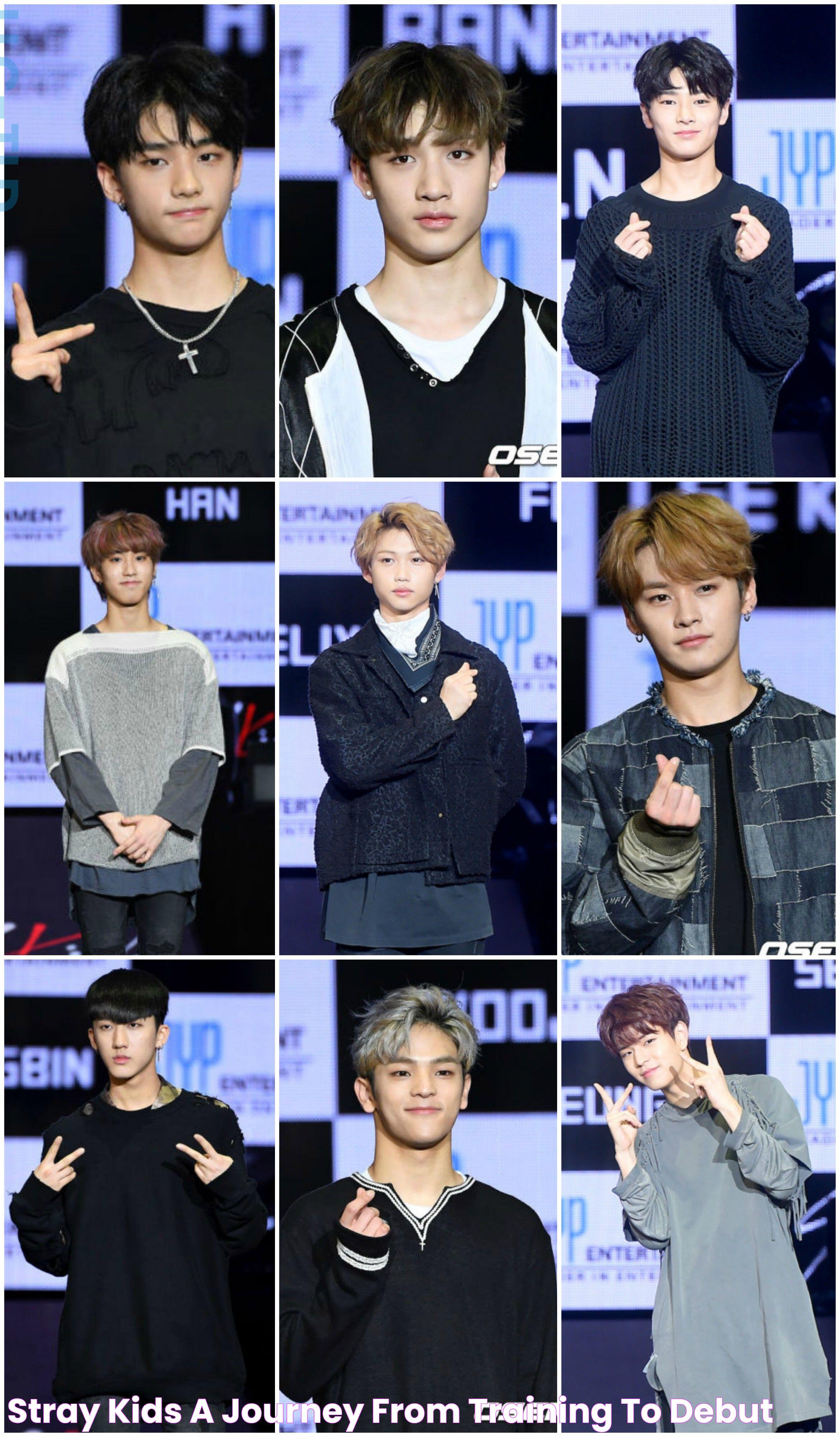 Stray Kids A Journey From Training To Debut