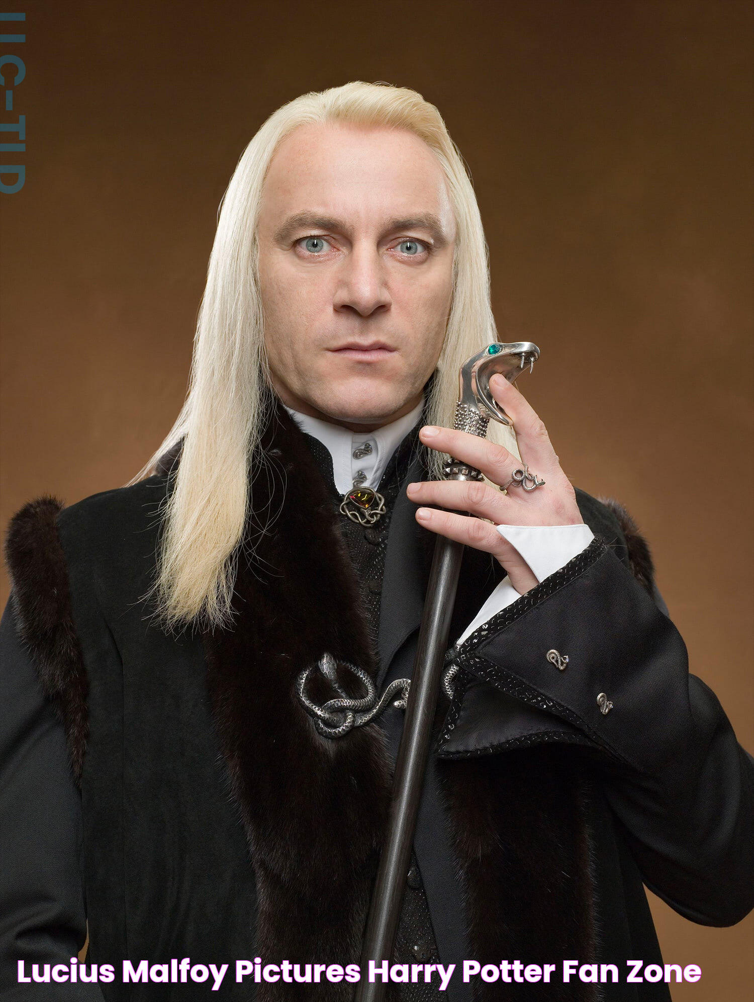 The Intriguing Hogwarts House Of Lucius Malfoy: A Deep Dive