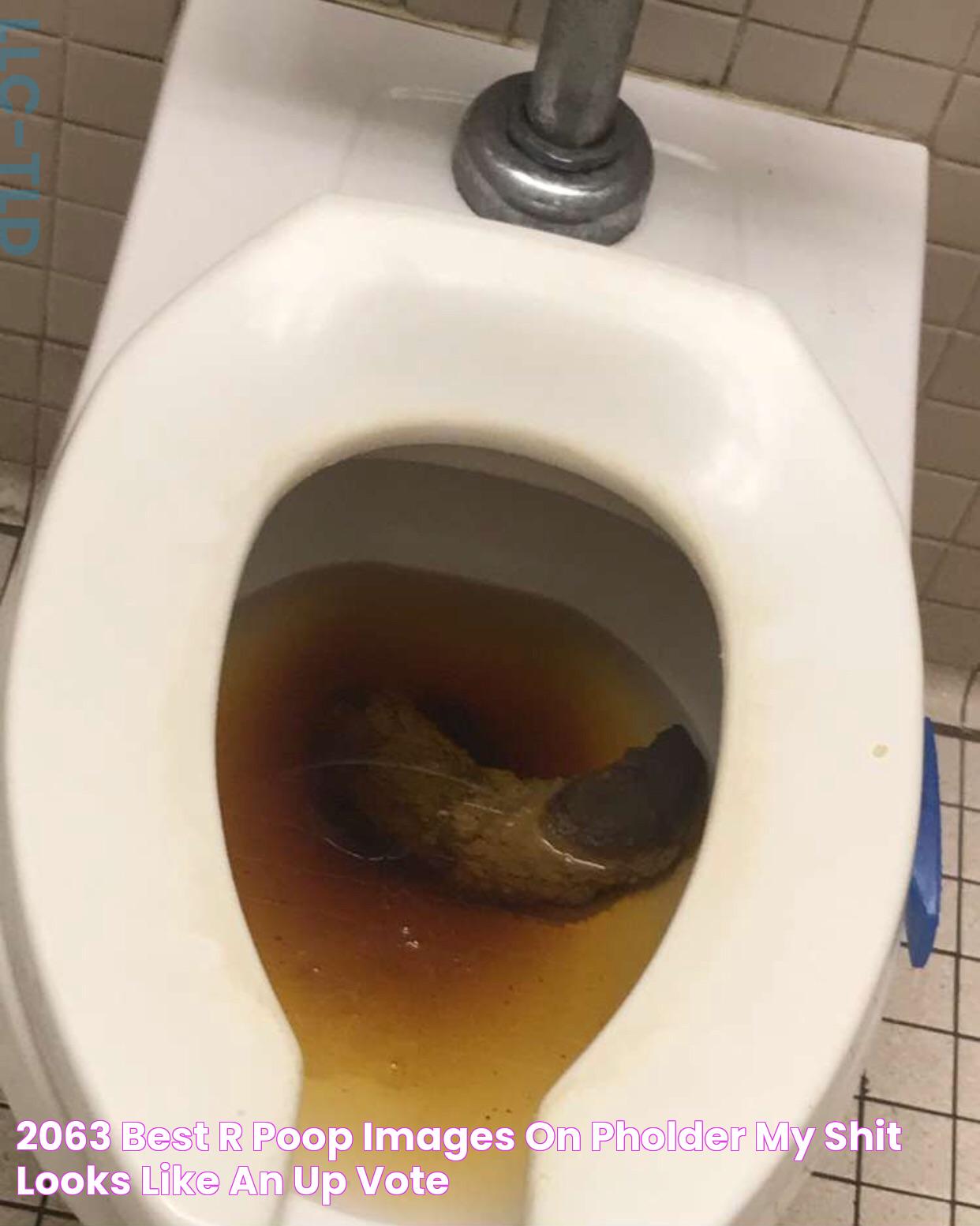 2063 best r/poop images on Pholder My shit looks like an up vote!