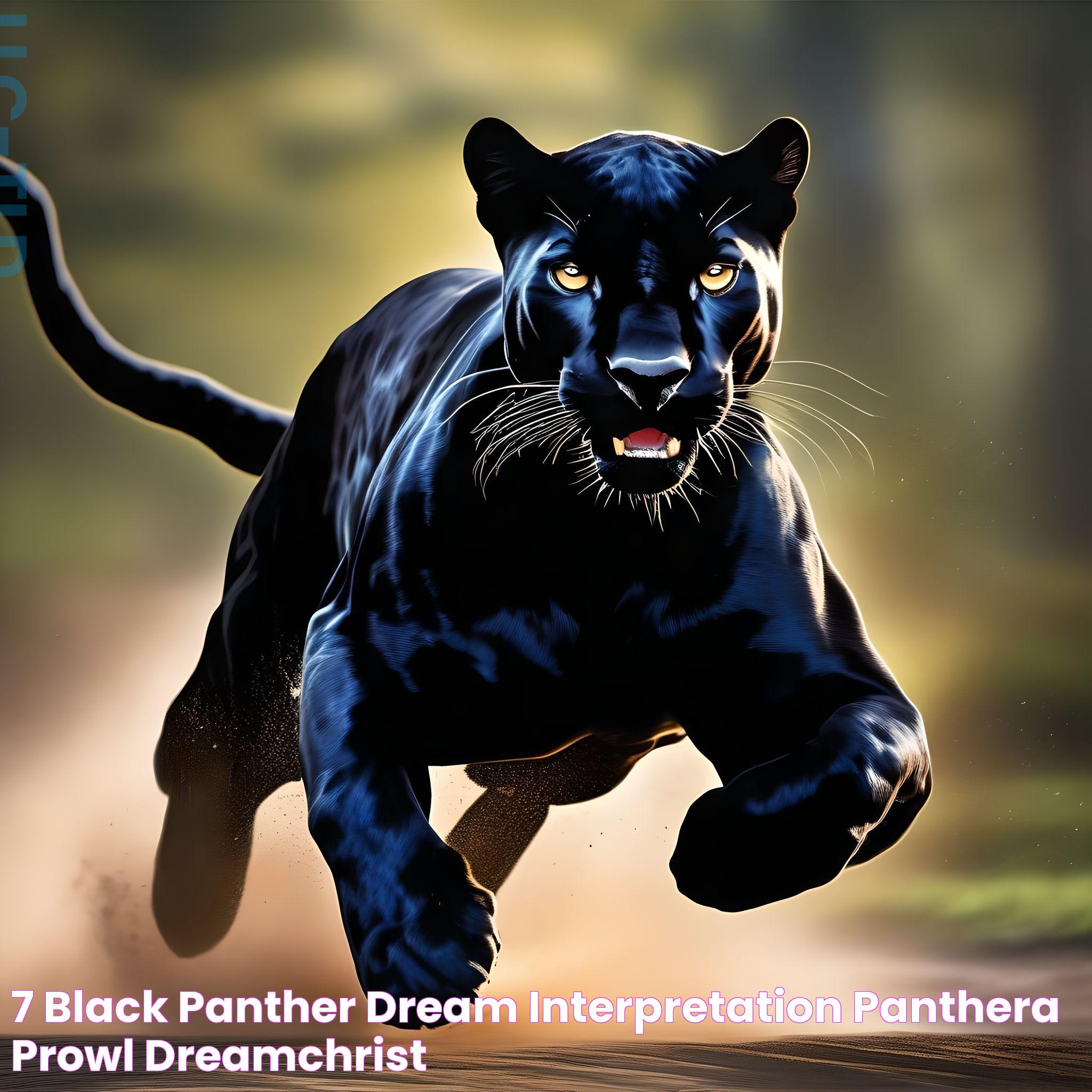 Black Panther In Dream: Symbolism, Meanings, And Interpretations