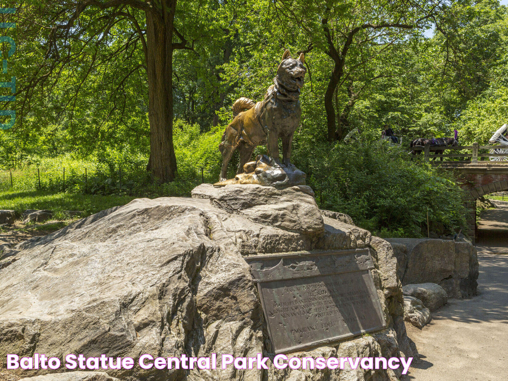 Balto Statue Central Park: A Symbol Of Heroic Canine Bravery