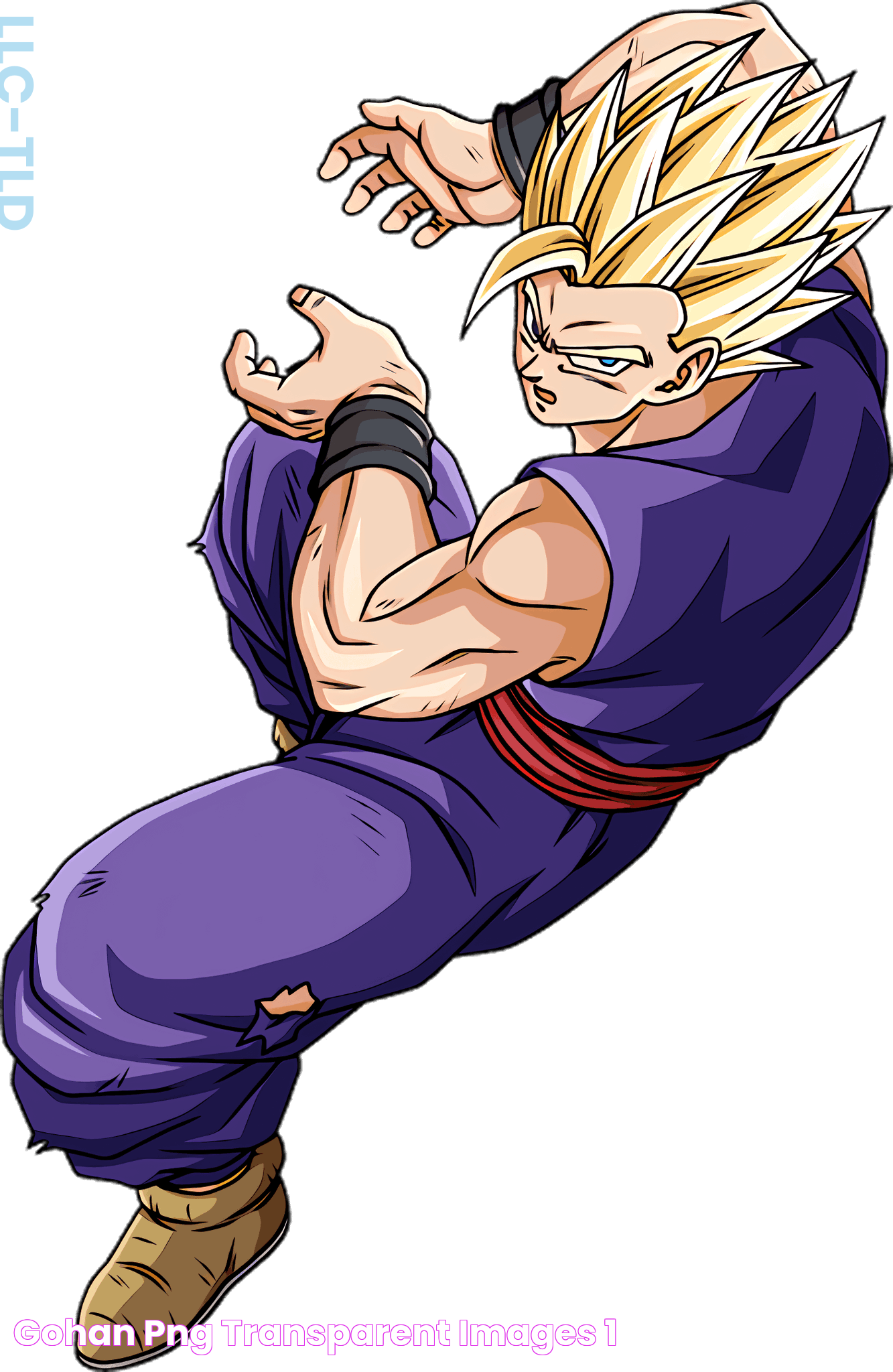 Gohan PNG Transparent Images