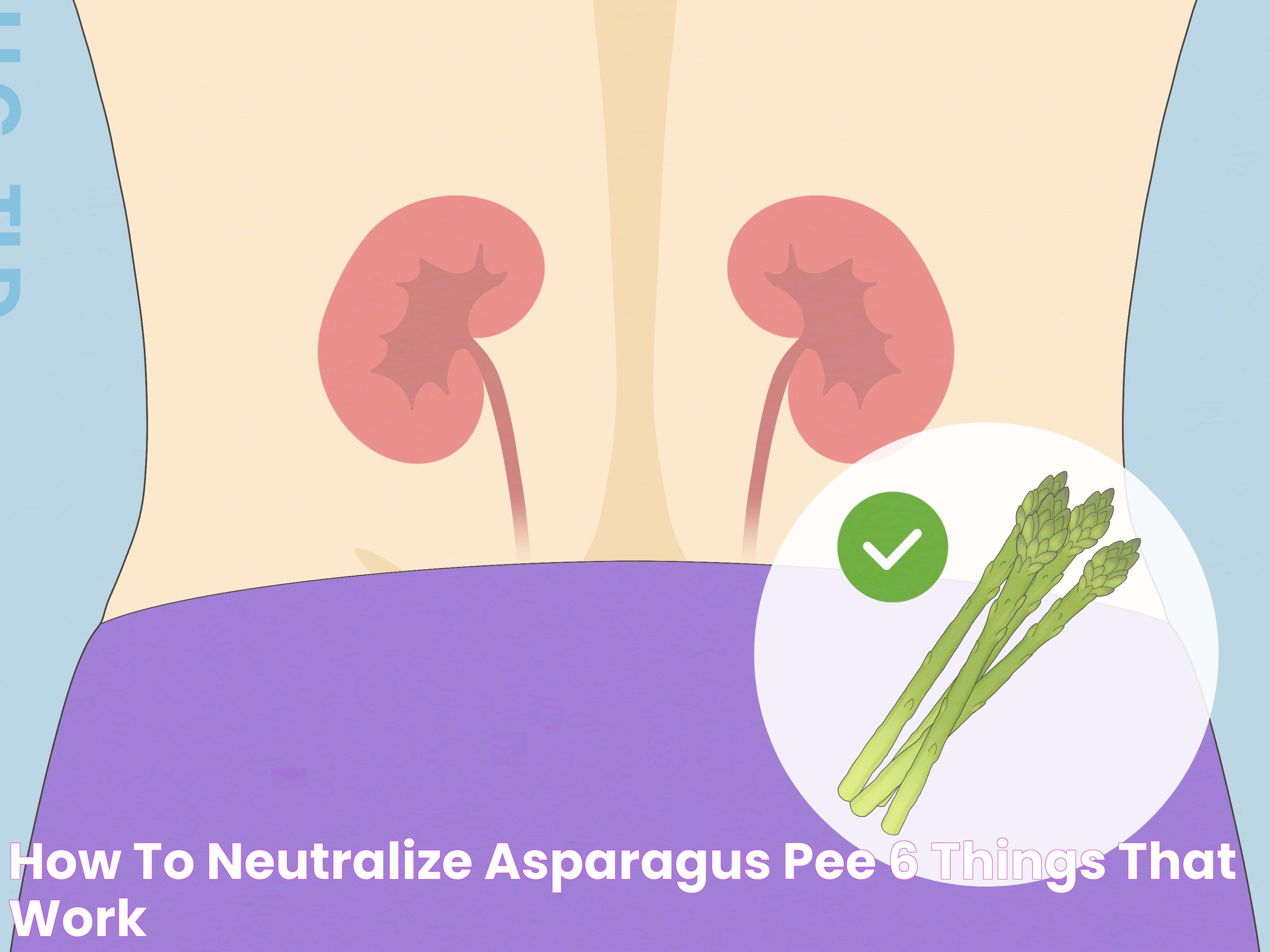 Efficient Tips To Neutralize Asparagus Pee Effects