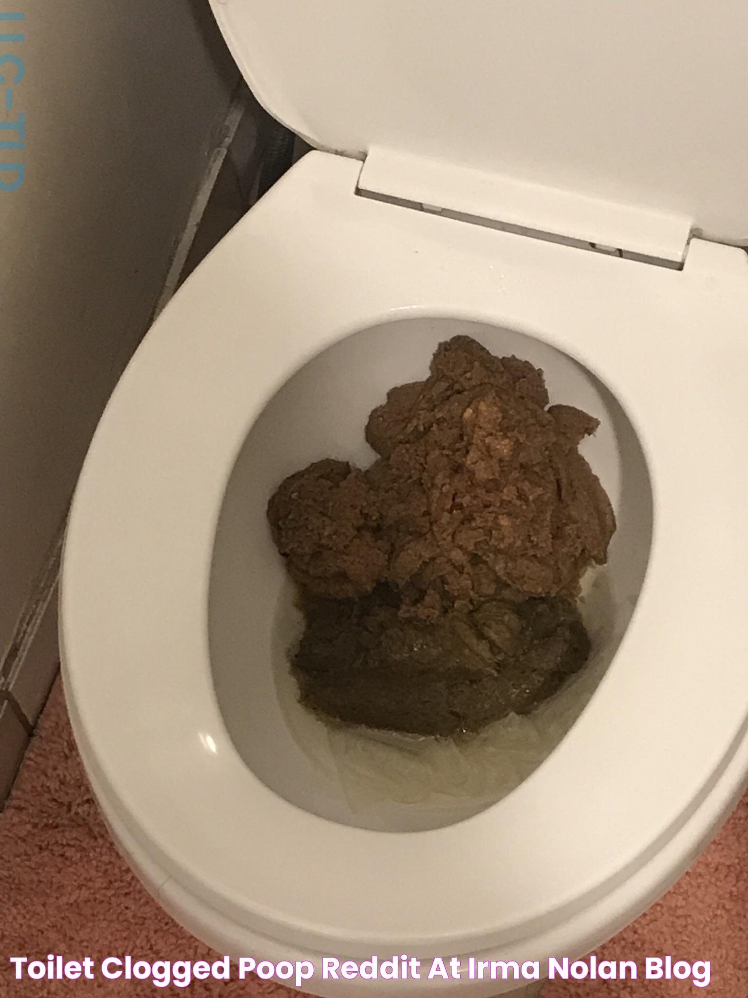 Unveiling The Unexpected: The Intriguing Tale Of A Giant Poop In Toilet