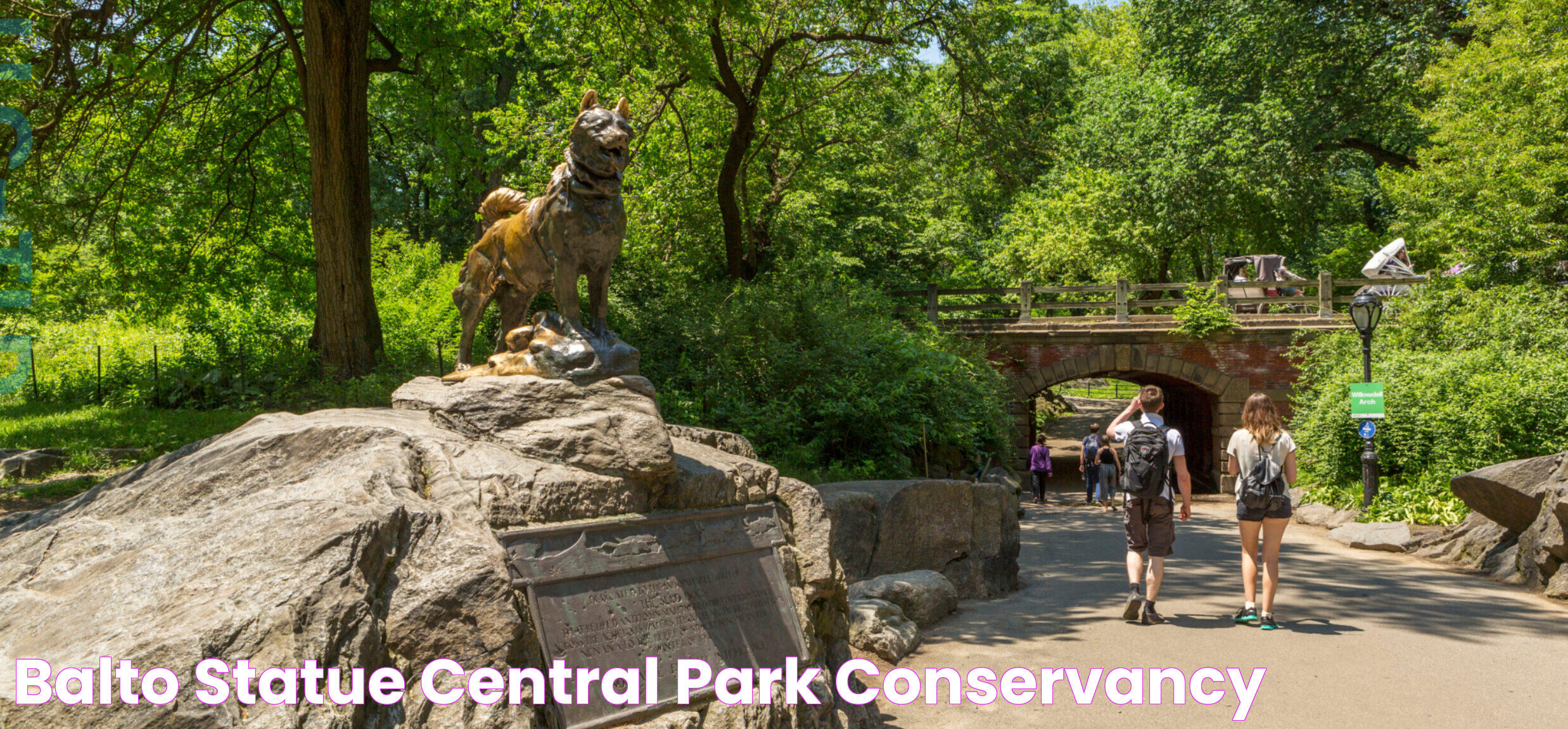 Balto Statue Central Park Location: A Symbol Of Heroic History