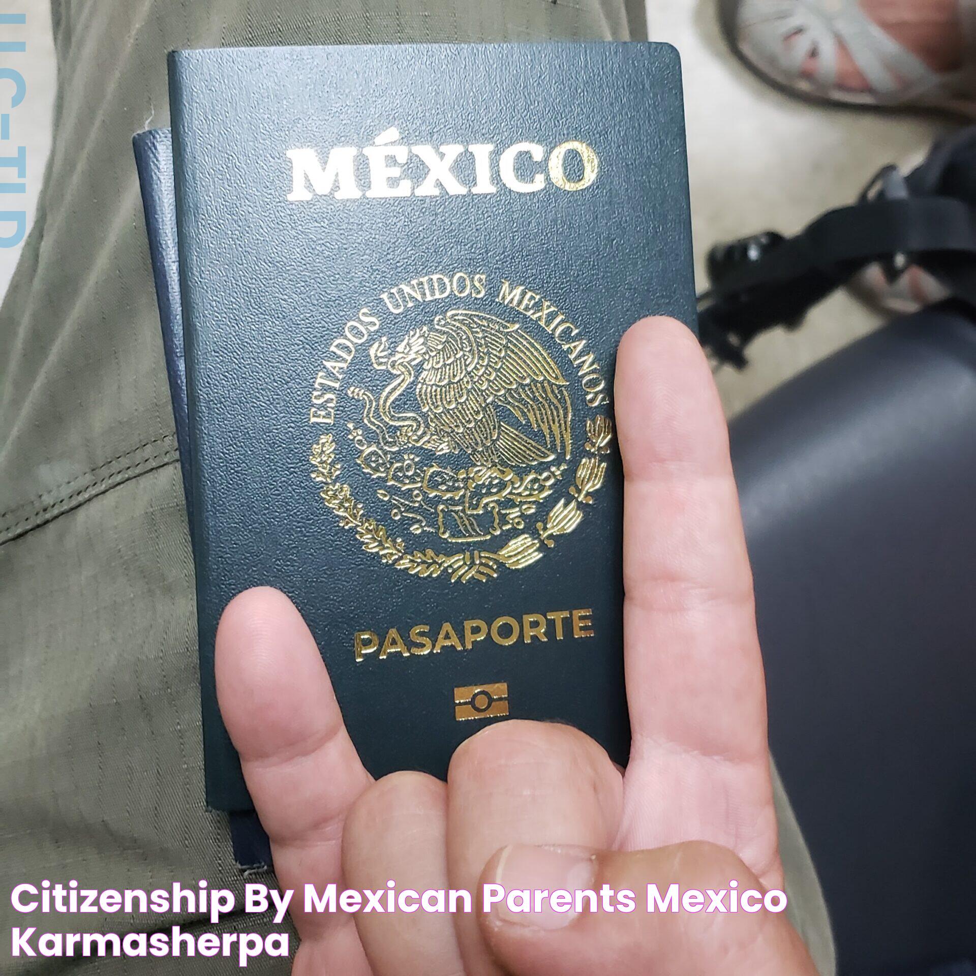 Guide To Applying For Mexican Citizenship Through Parents: A Comprehensive Overview