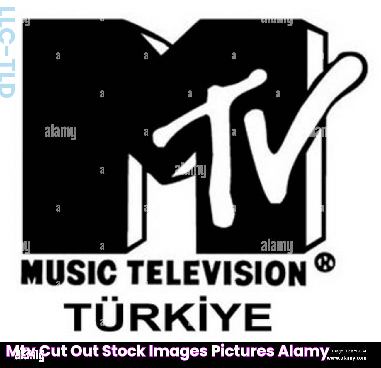 MTV Networth: Insights And Impact In The Entertainment Industry