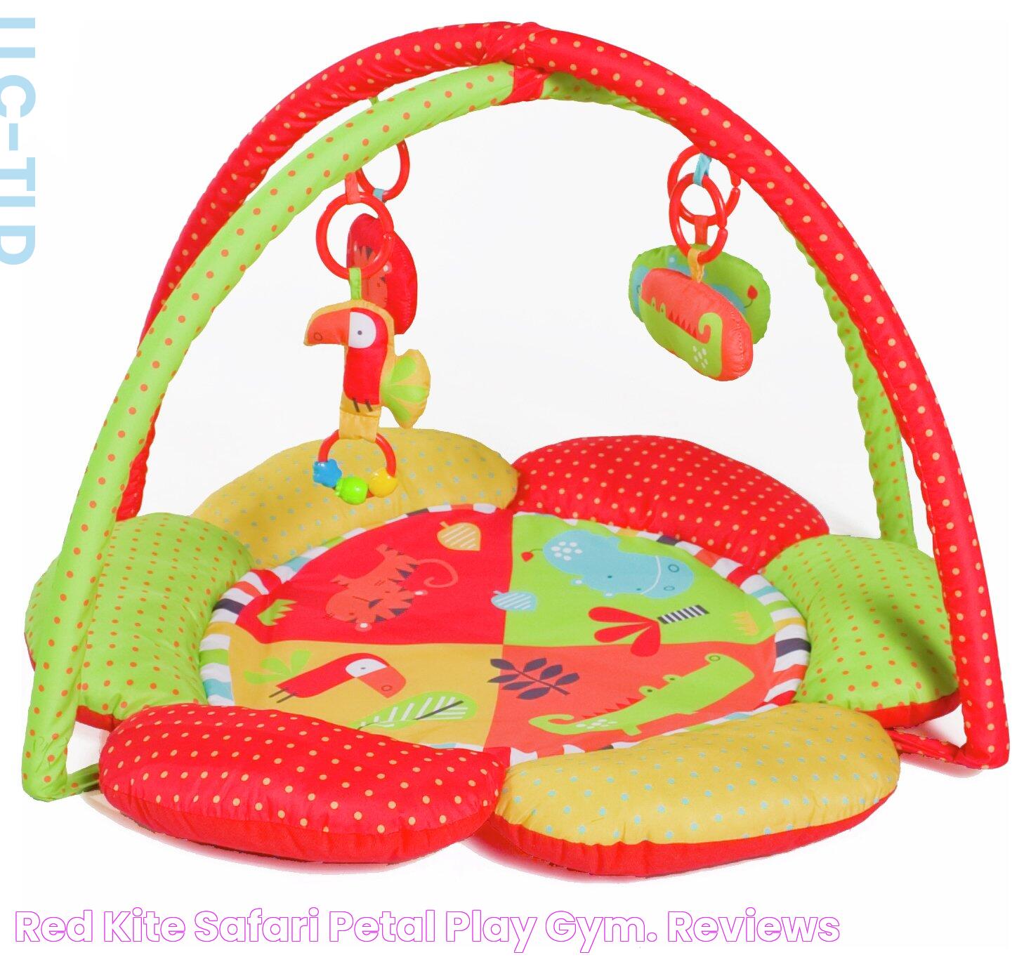 Red Kite Safari Petal Play Gym. Reviews