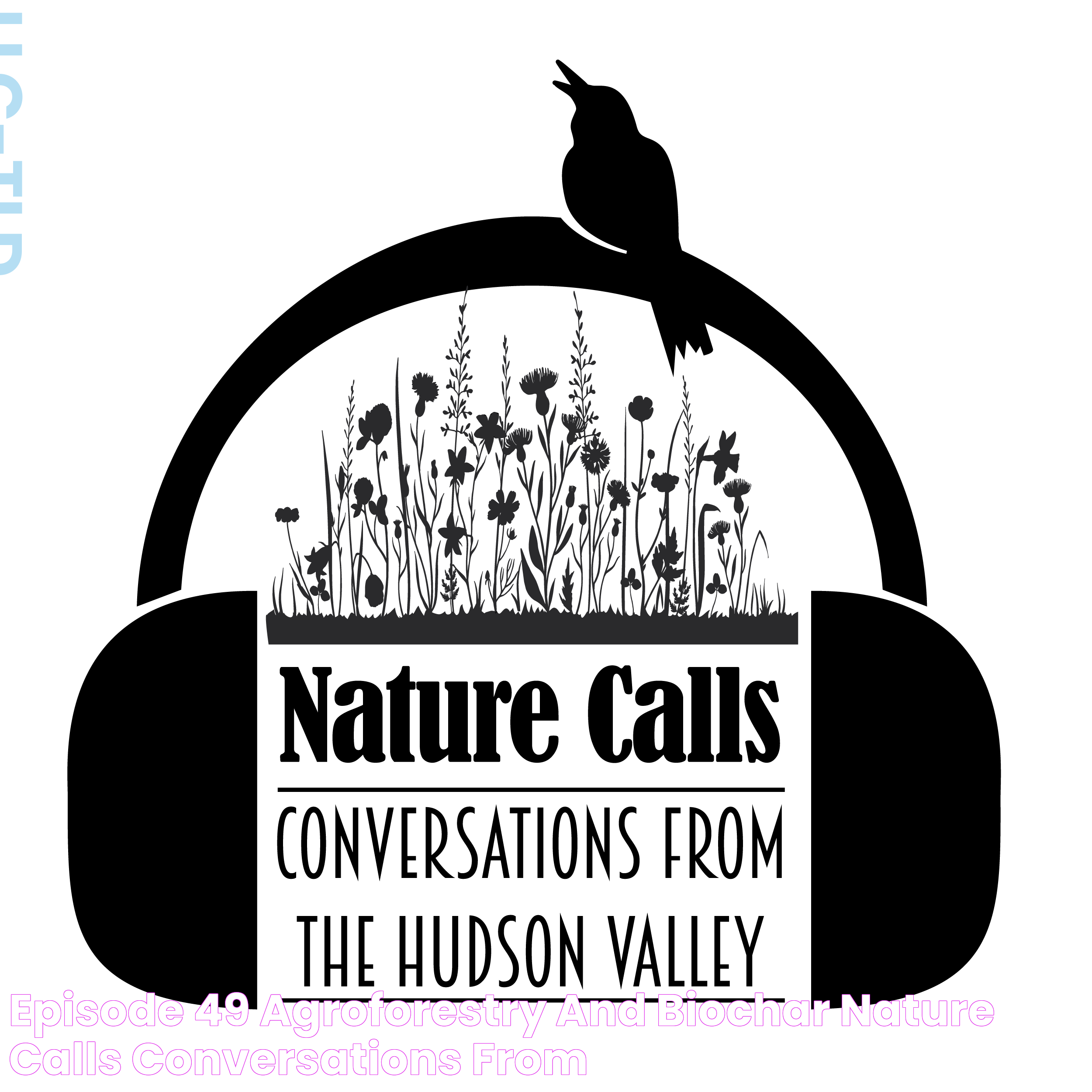 Episode 49 Agroforestry and Biochar Nature Calls Conversations from