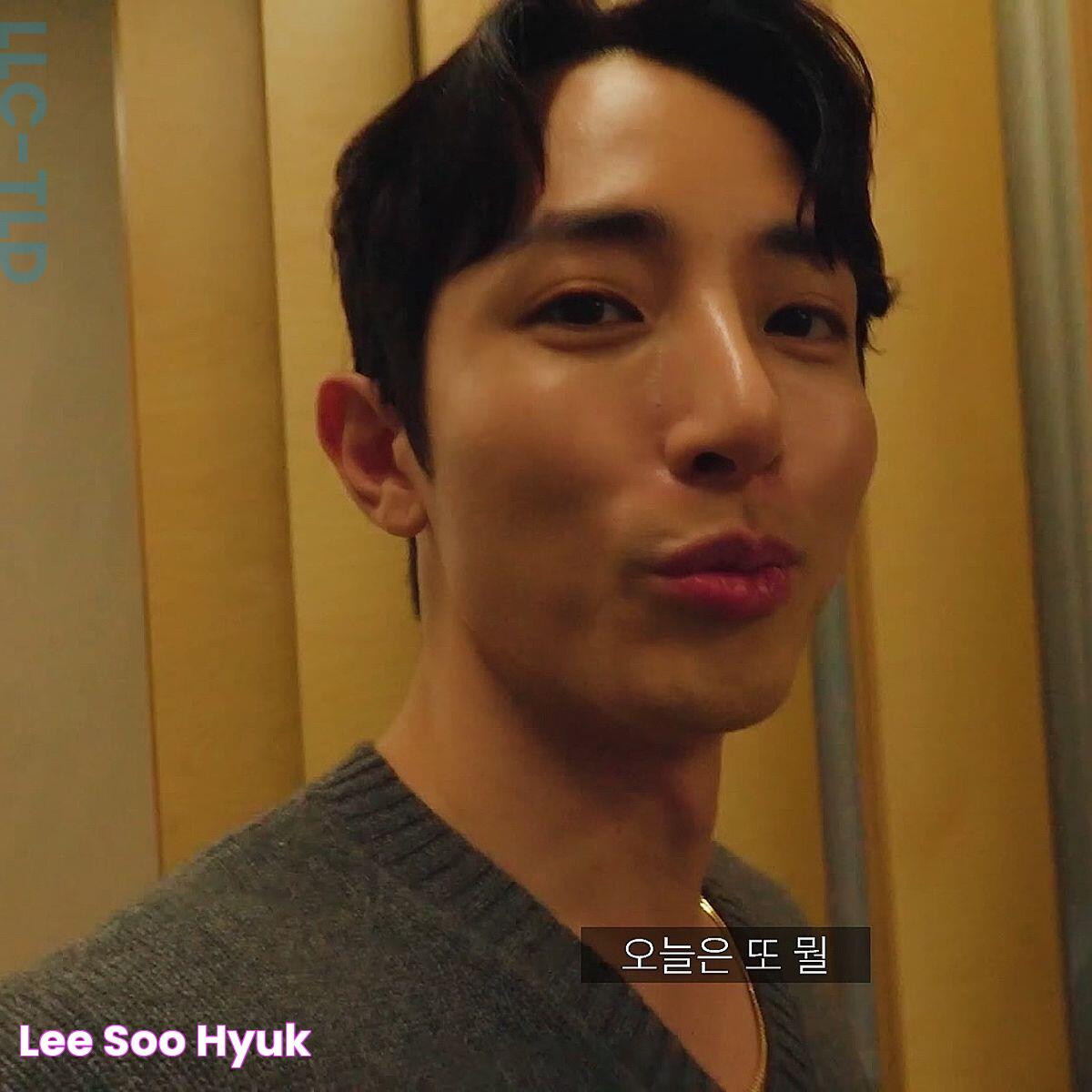 Lee Soo Hyuk's TV Series: A Star's Journey Through The Screen