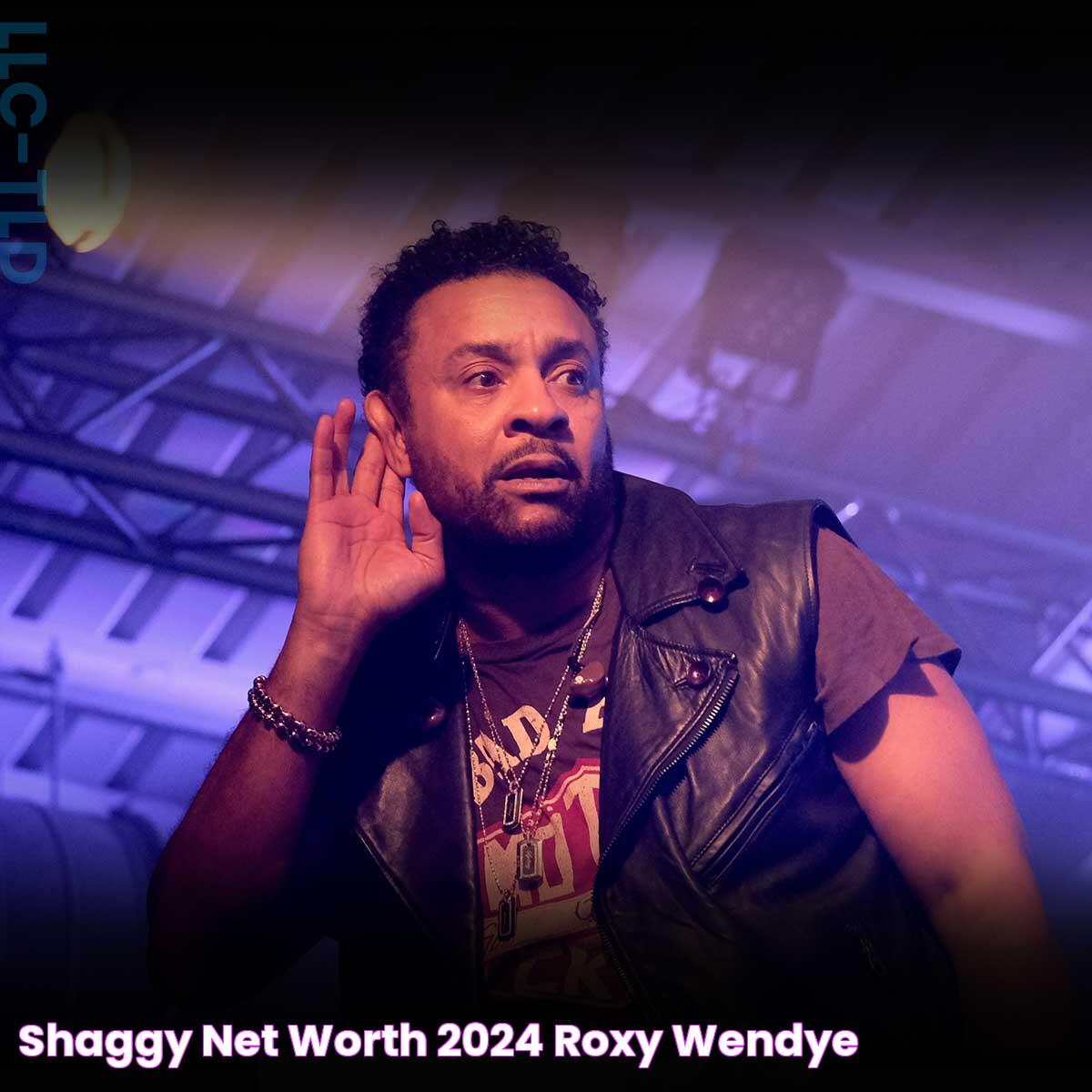 Shaggy Net Worth 2024 Roxy Wendye