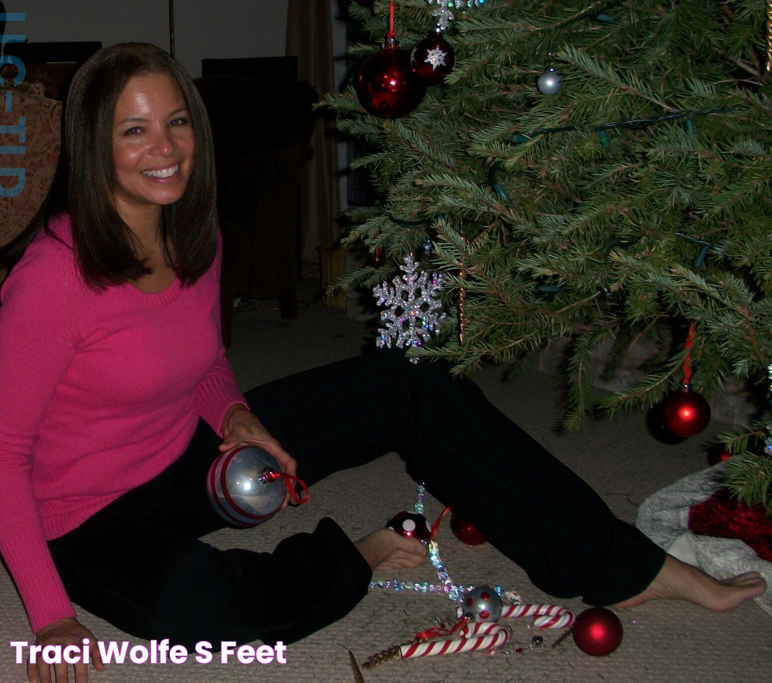 Insights Into The Life And Career Of Traci Wolfe Young