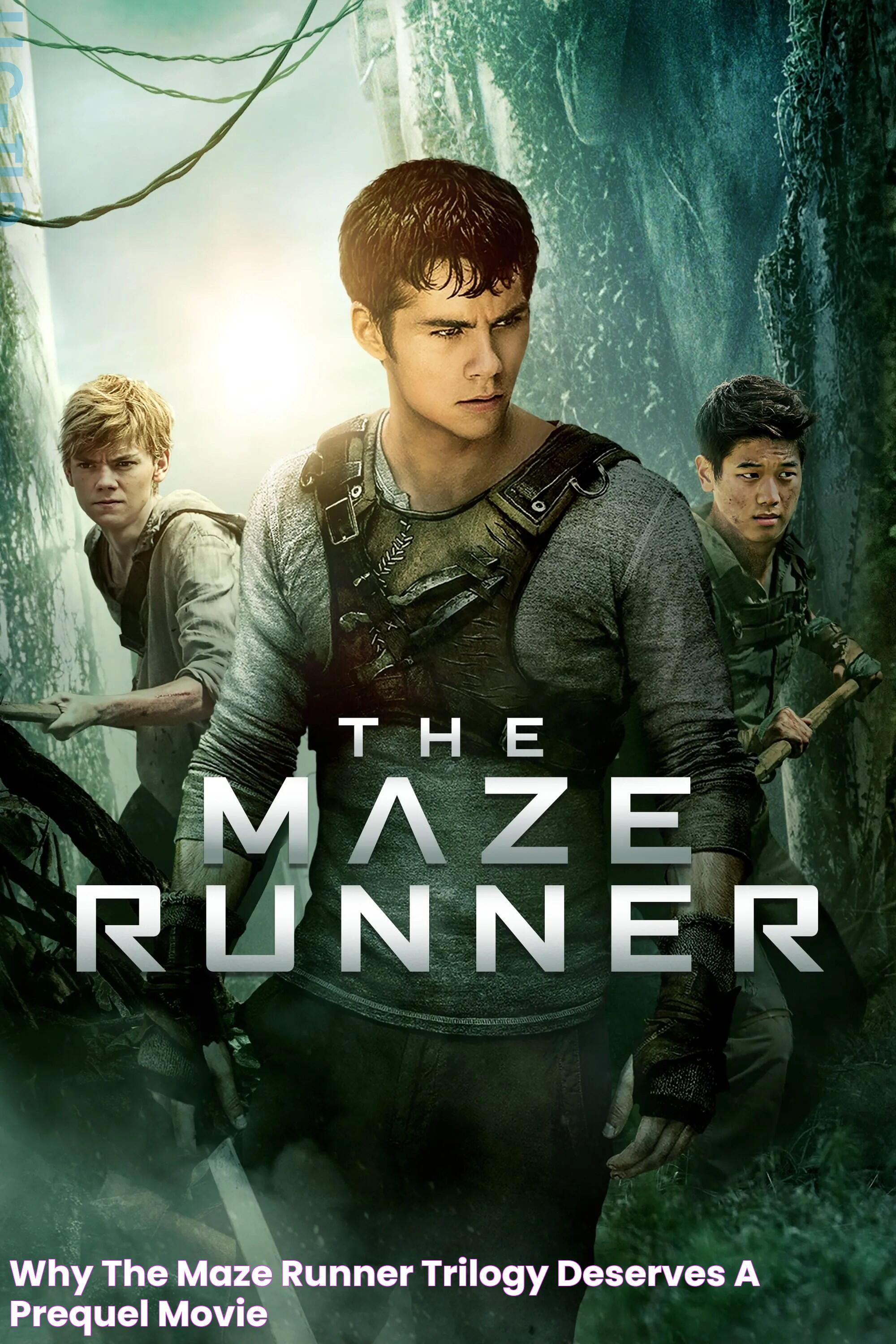 Maze Runner Trilogy: An In-Depth Guide And Analysis