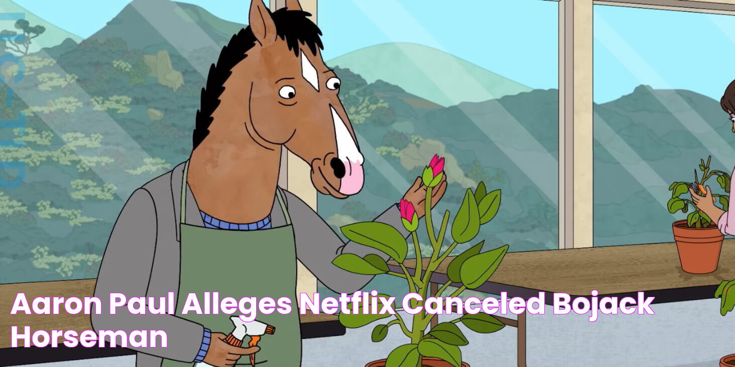 Aaron Paul Alleges Netflix Canceled 'BoJack Horseman'