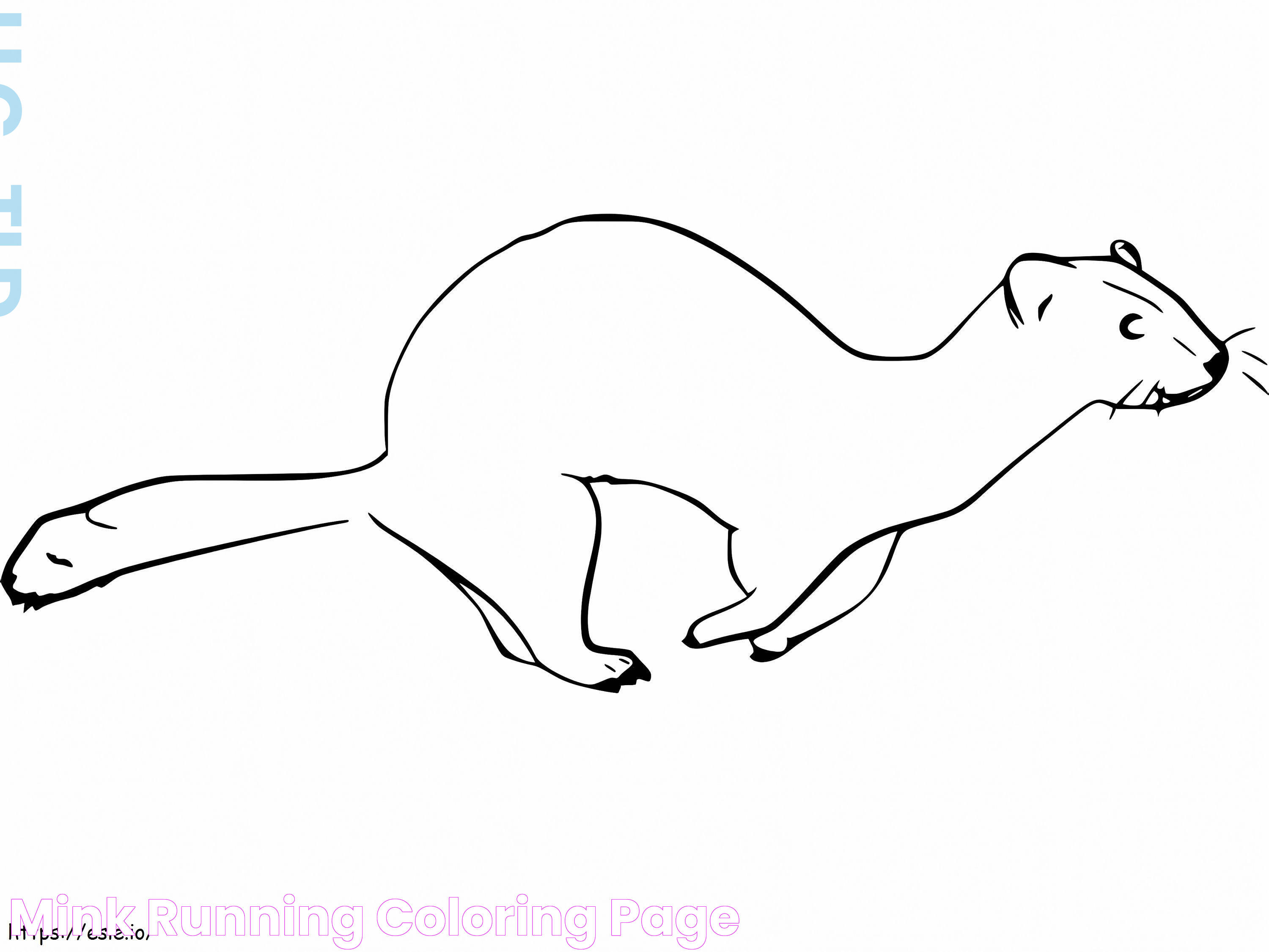 Mink Running coloring page