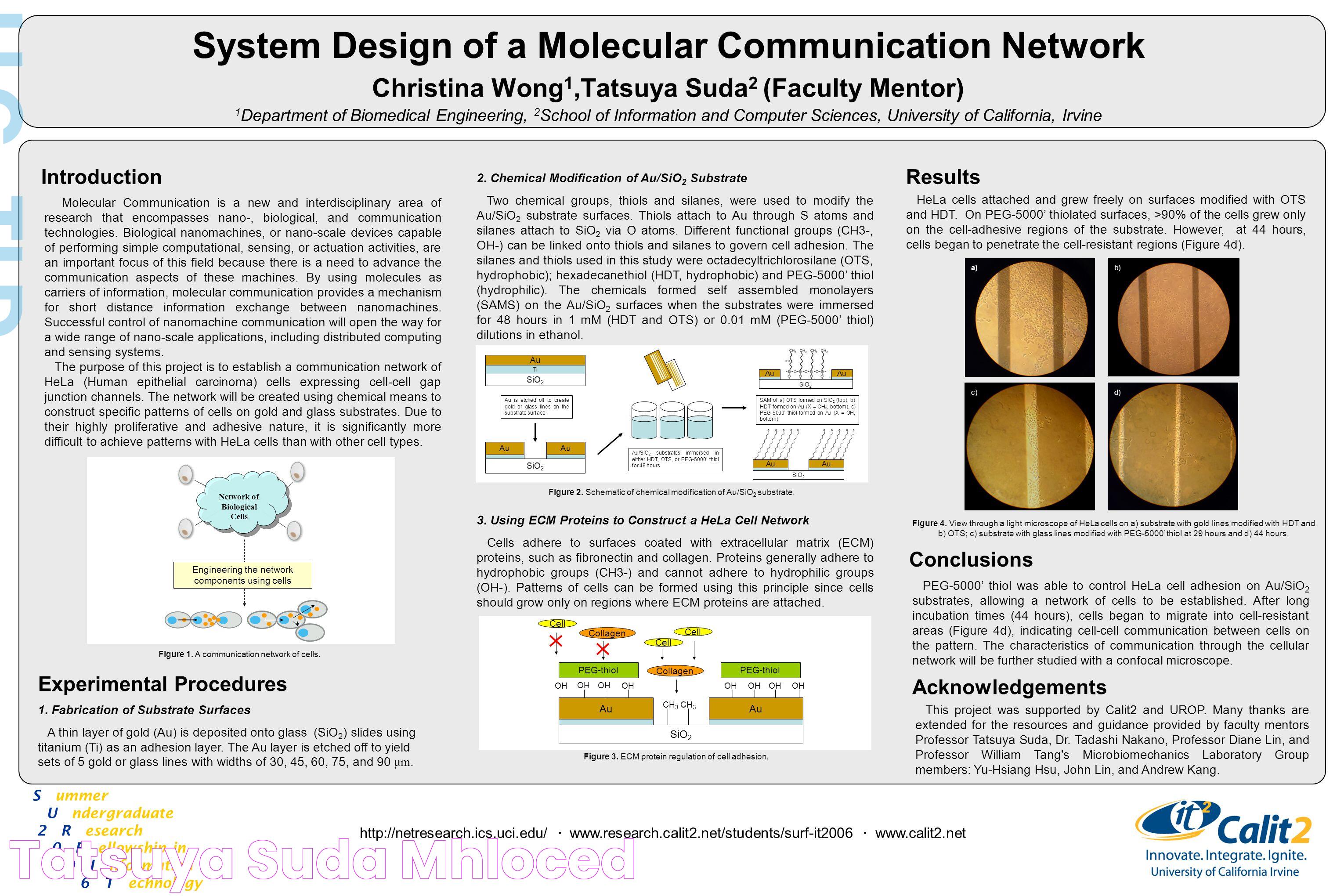 Remarkable Contributions Of Tatsuya Suda To Computer Science And Networking