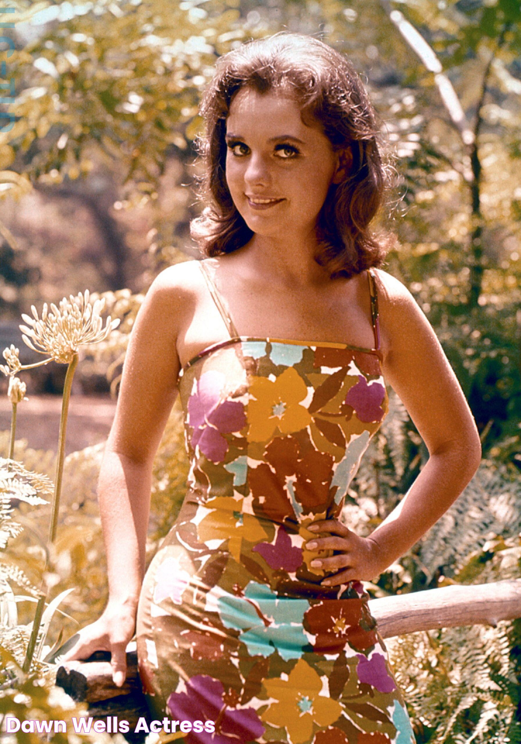 Dawn Wells Actress