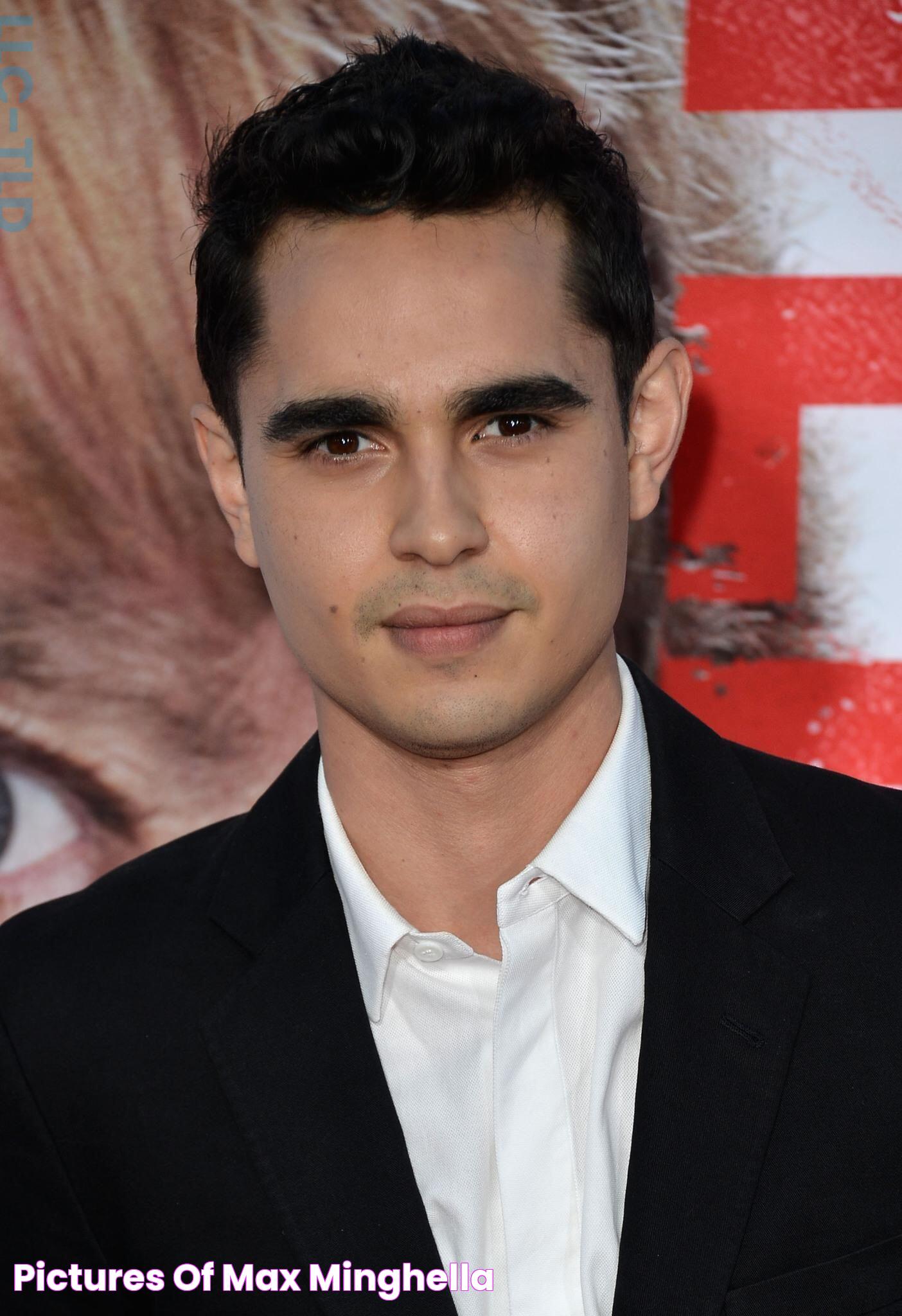 Max Minghella: An Intriguing Actor And Filmmaker