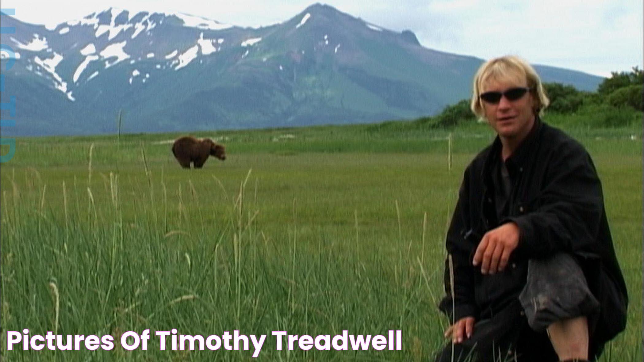 Insights Into Timothy Treadwell Audio: A Journey Into The Wild