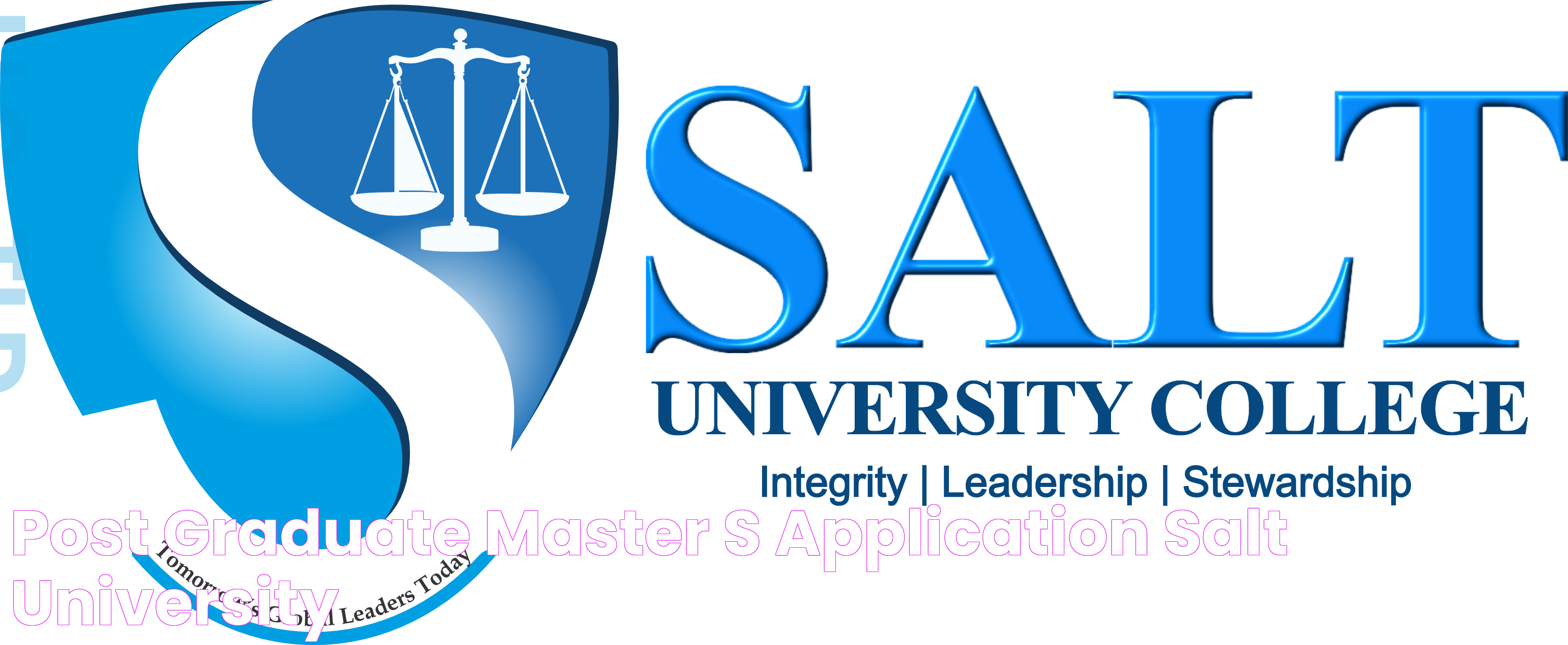 Post Graduate MASTER’S APPLICATION Salt University