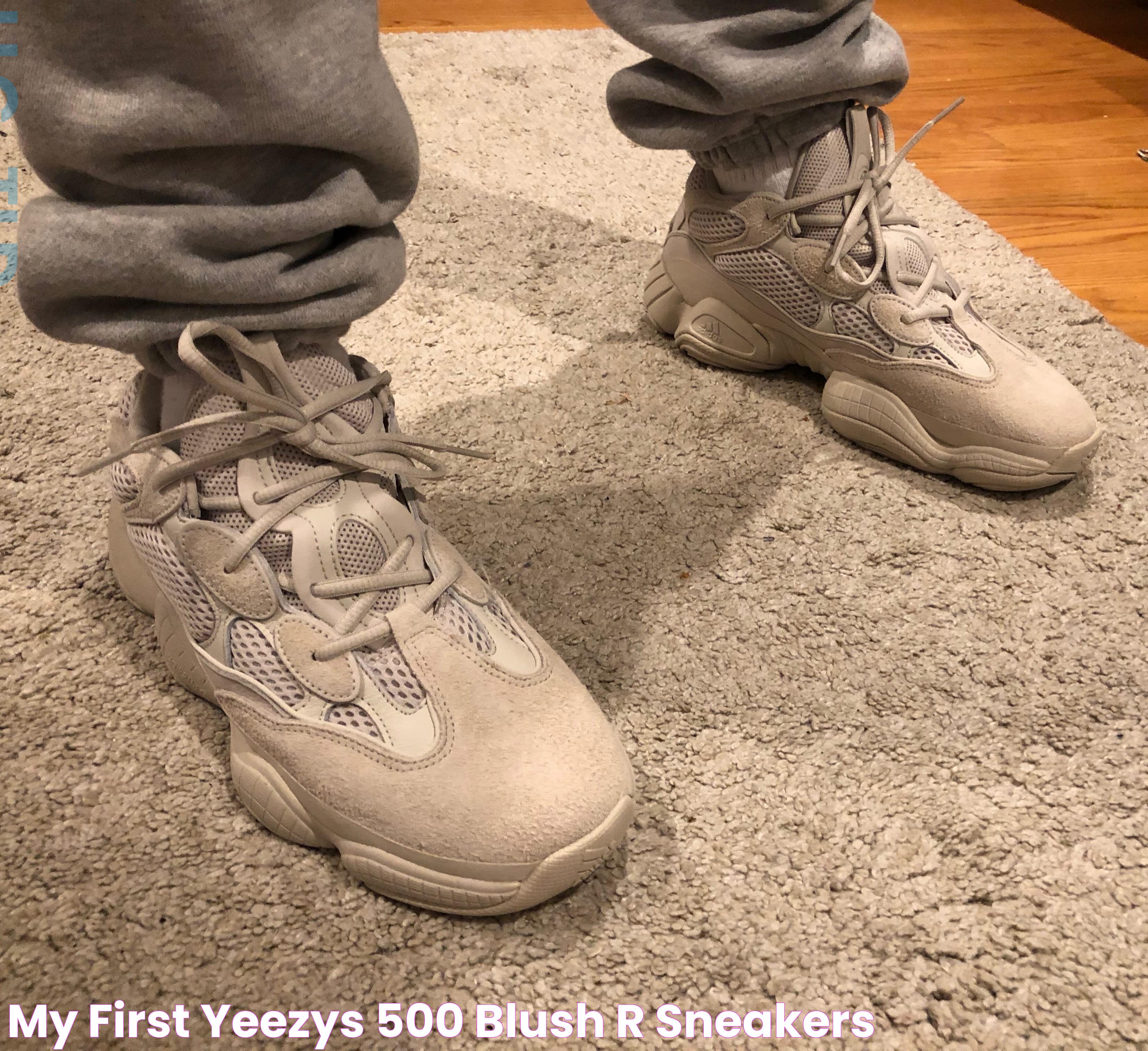 My first Yeezys (500 Blush) r/Sneakers