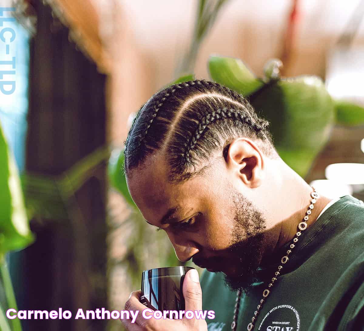 Carmelo Anthony Cornrows