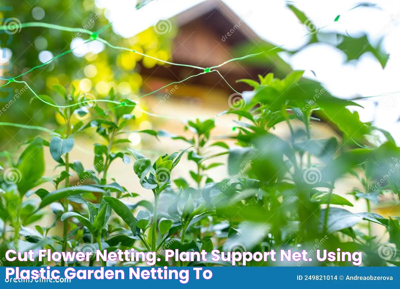 Effective Strategies For Using Flower Netting In Horticulture