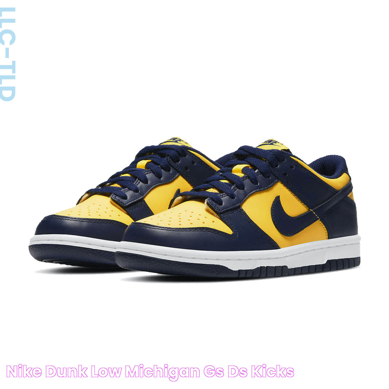 Nike Dunk Low Michigan (GS) DS Kicks