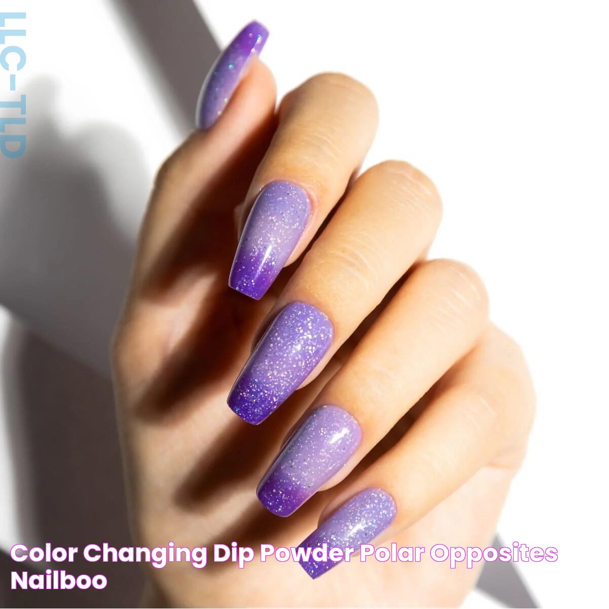 Color Changing Dip Powder Polar Opposites Nailboo®