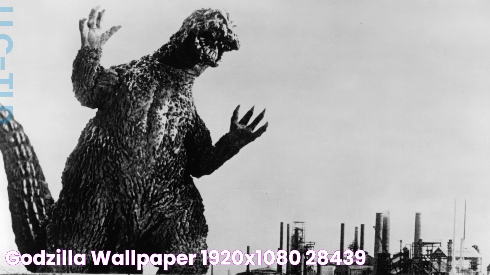 Insights Into The Life And Career Of Godzilla Actress