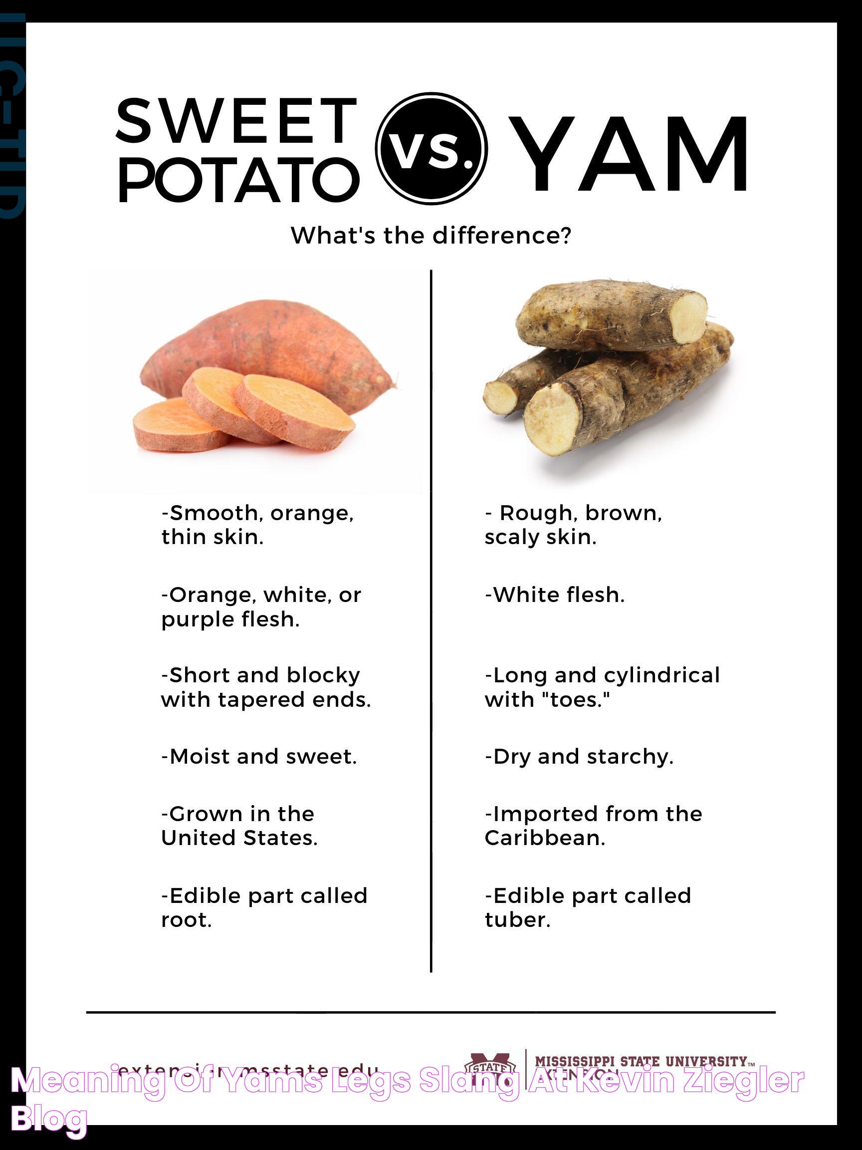 Meaning Of Yams Legs Slang at Kevin Ziegler blog