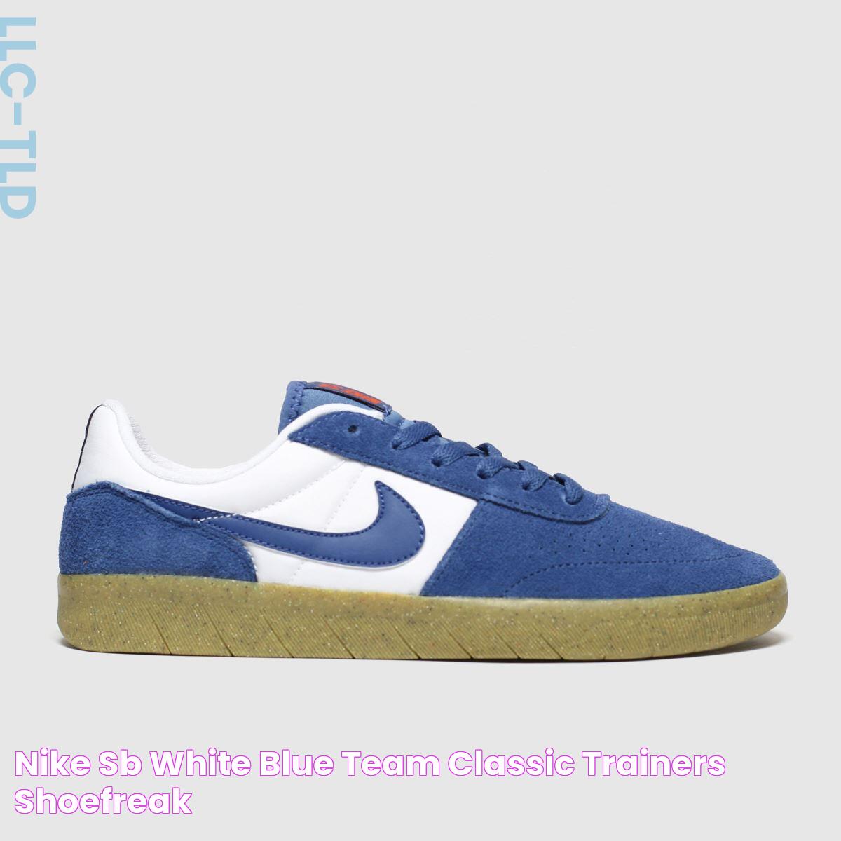 Nike Sb White & Blue Team Classic Trainers ShoeFreak