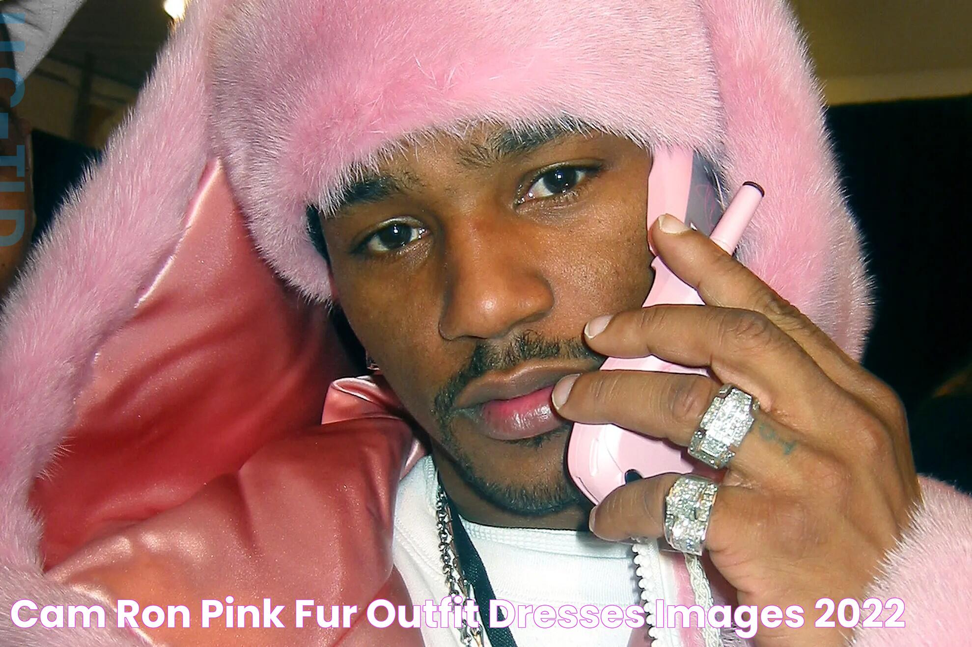 The Iconic Style Of Cam'ron Costume Pink: A Cultural Phenomenon