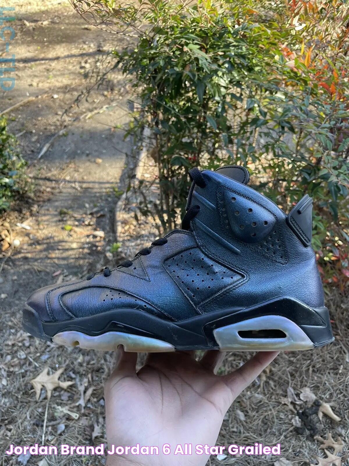 Jordan Brand Jordan 6 All star Grailed