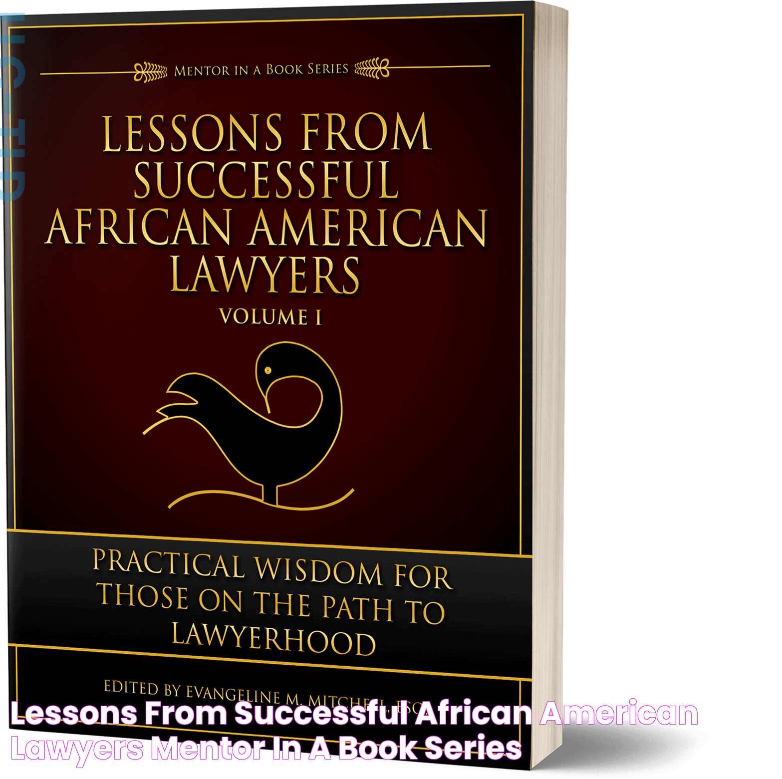 Lessons From Successful African American Lawyers Mentor in a Book Series