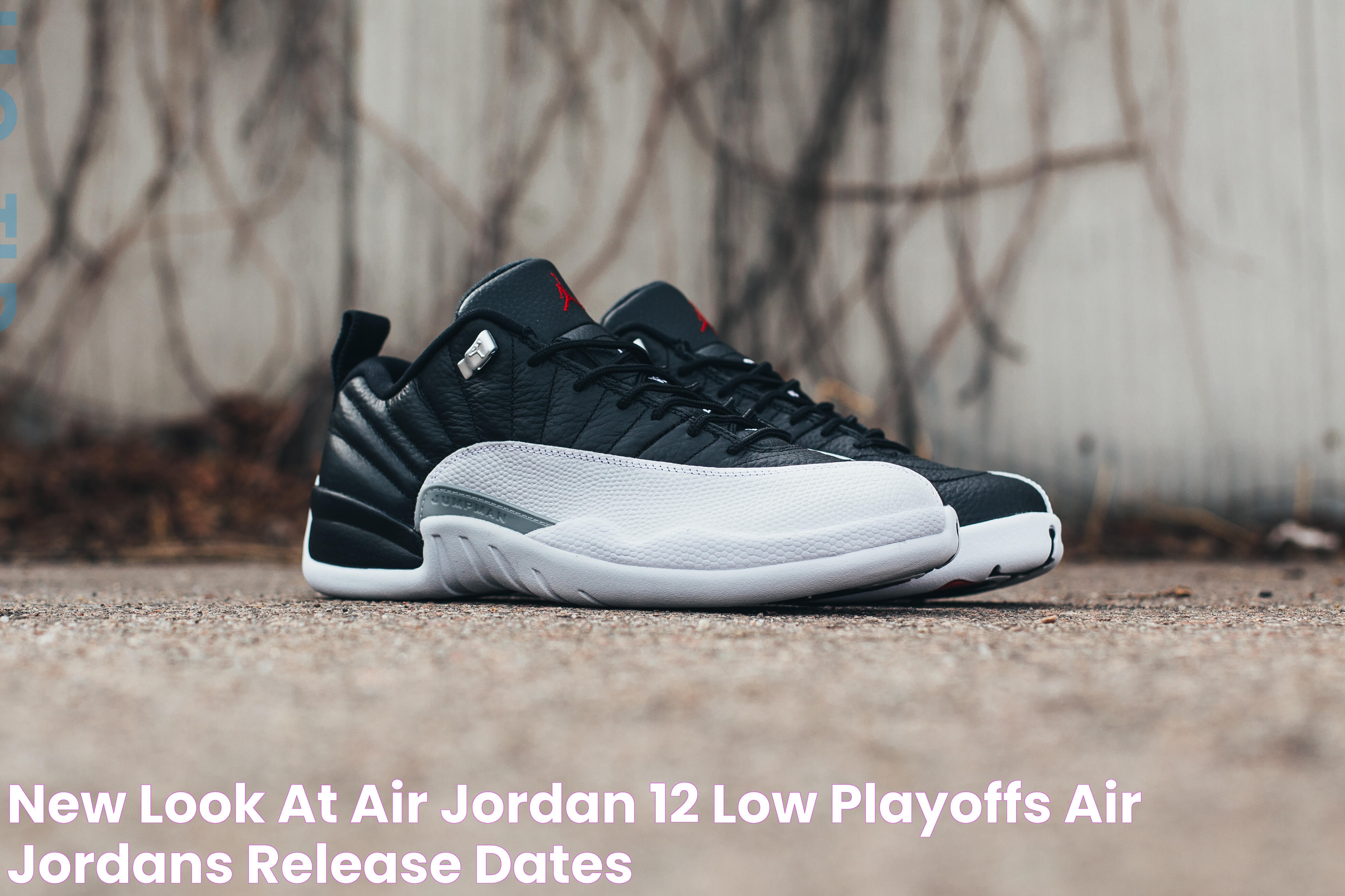 Low Jordan 12s: A Stylish And Comfortable Sneaker Choice