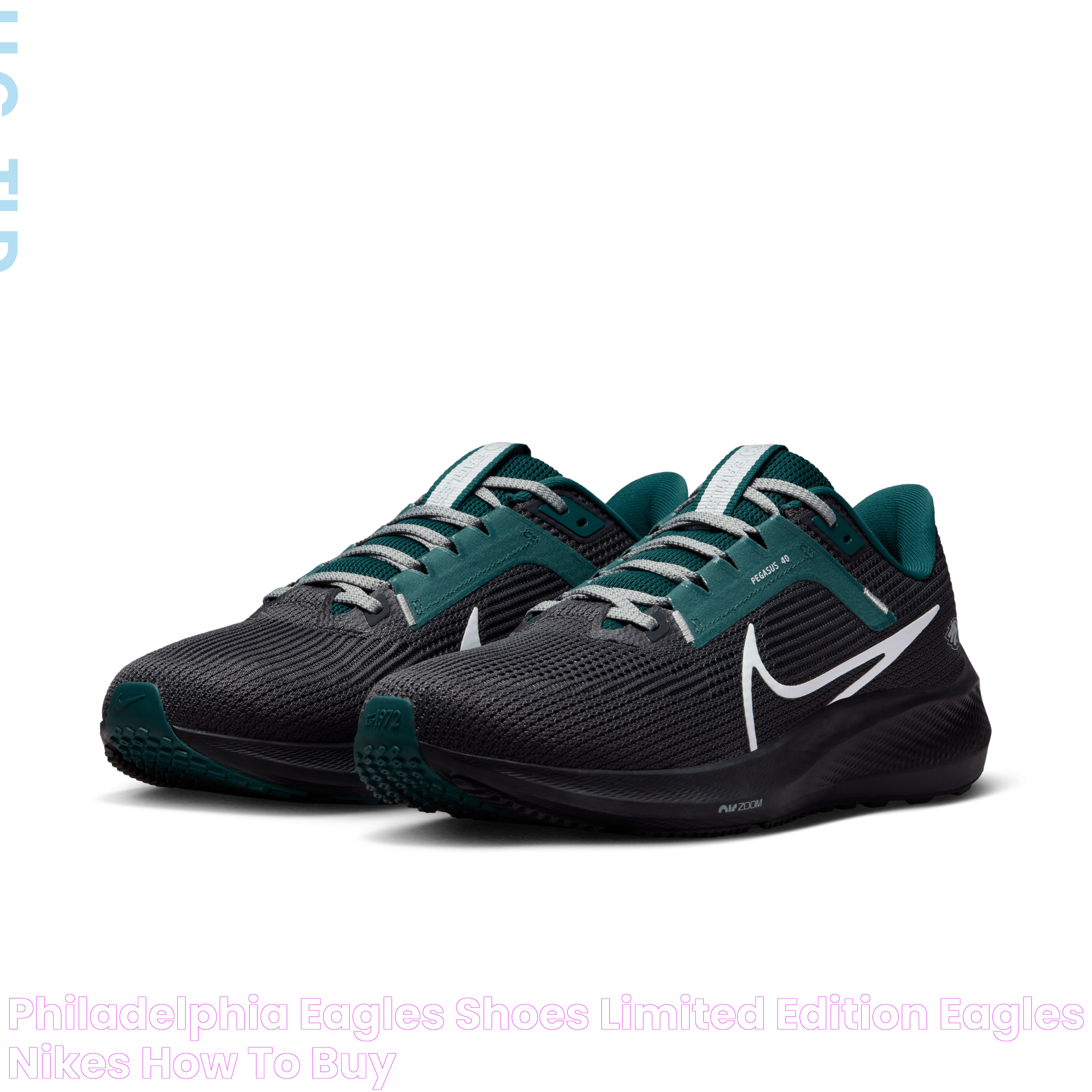 Ultimate Guide To Eagles Nike Pegasus: Performance And Style