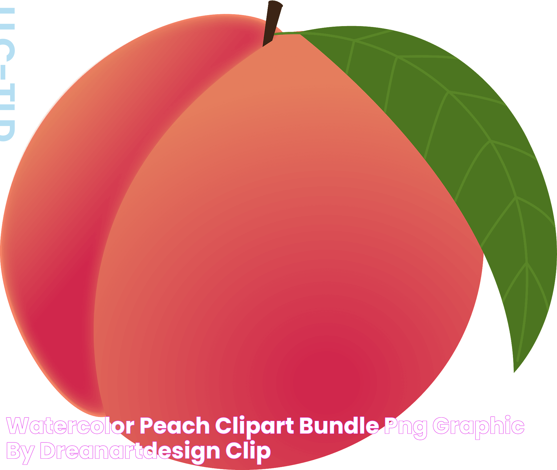 Watercolor Peach Clipart Bundle PNG Graphic by DreanArtDesign Clip