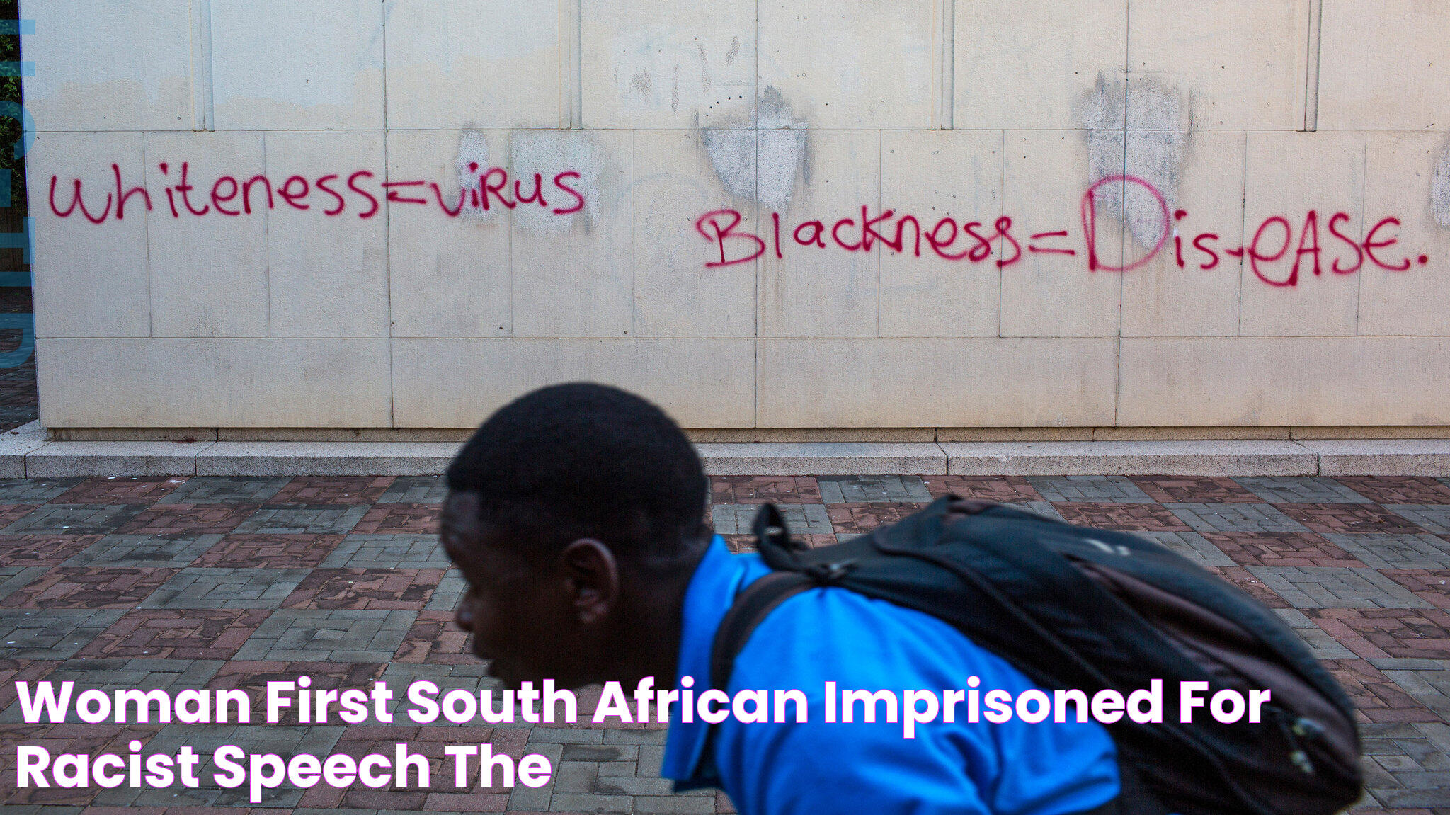 Woman First South African Imprisoned for Racist Speech The