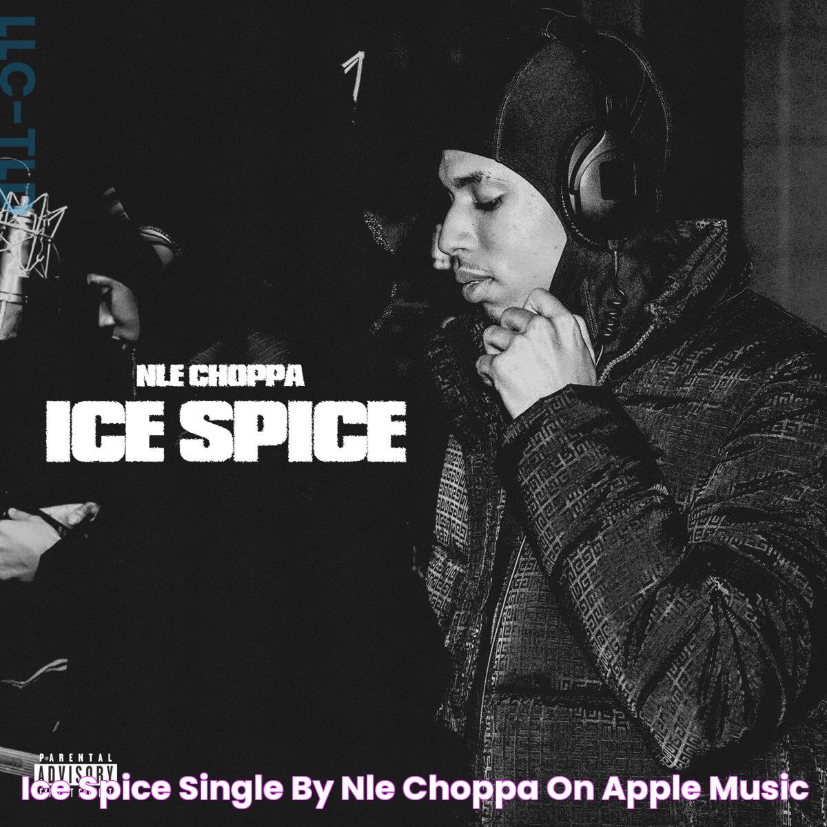 Y2K Album Ice Spice: A Retrospective Celebration