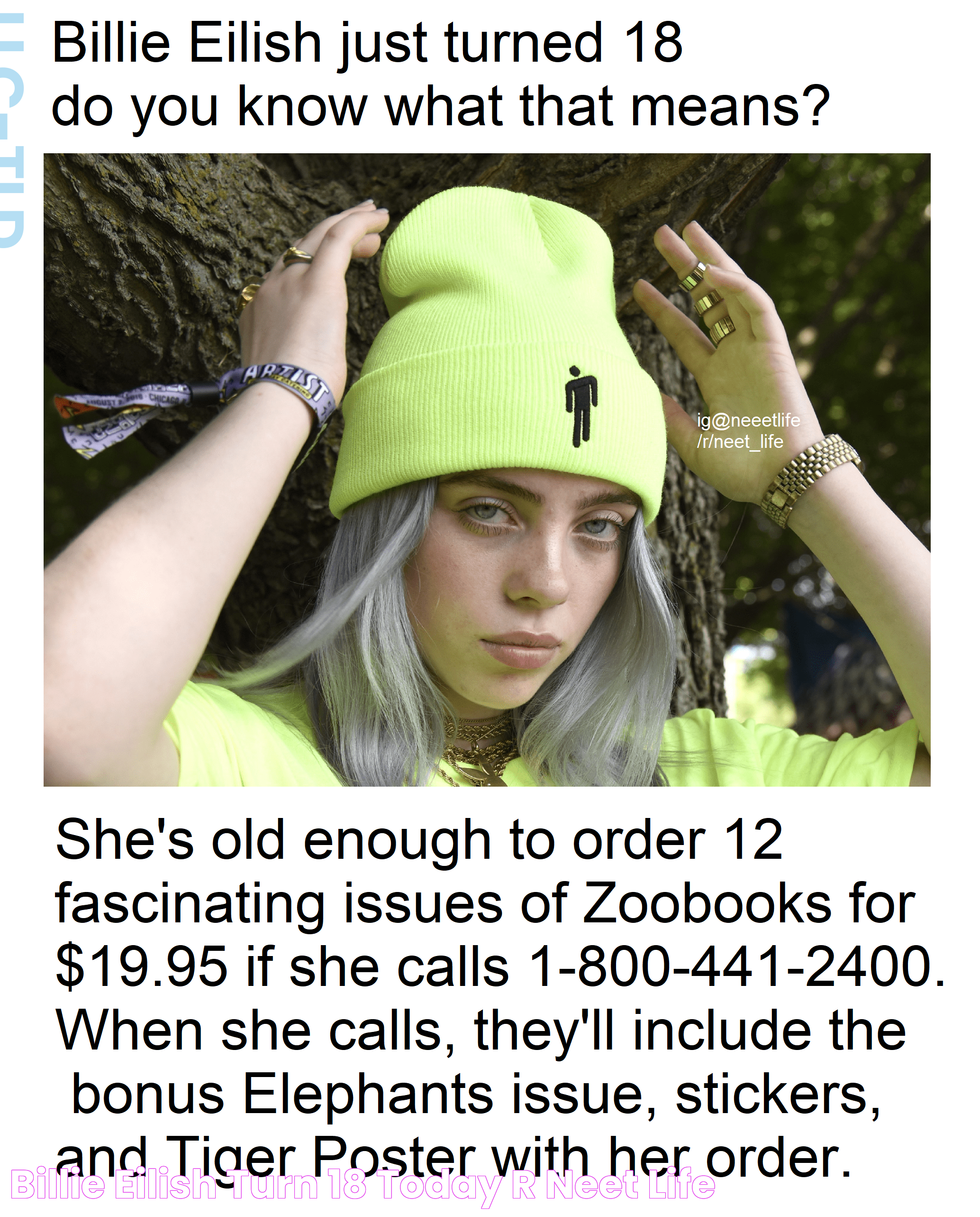 Billie Eilish Turn 18 Today r/NEET_Life