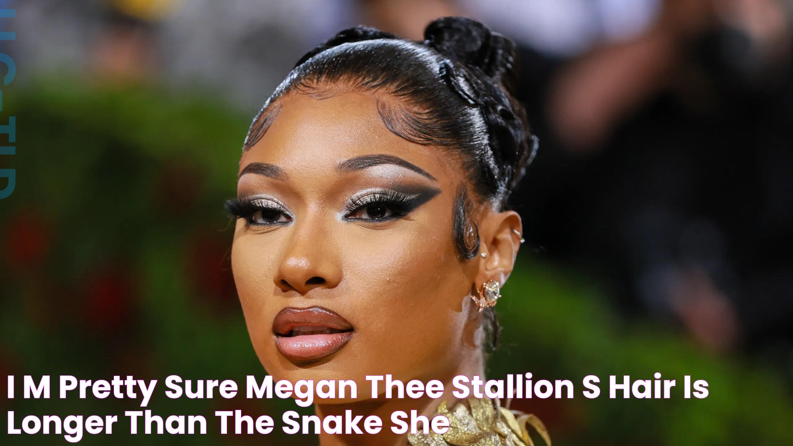 I'm Pretty Sure Megan Thee Stallion's Hair Is Longer Than the Snake She