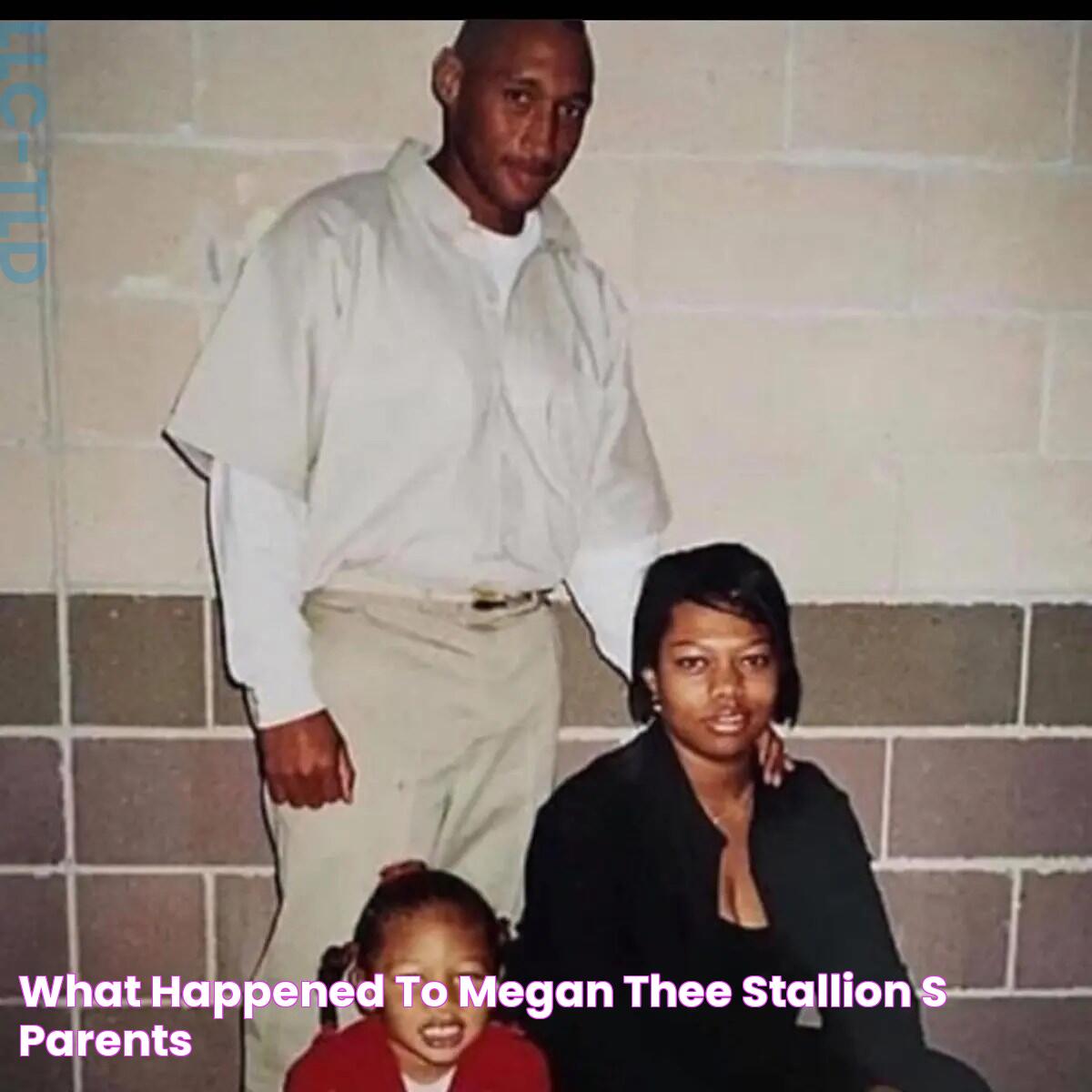 What Happened to Megan Thee Stallion's Parents?