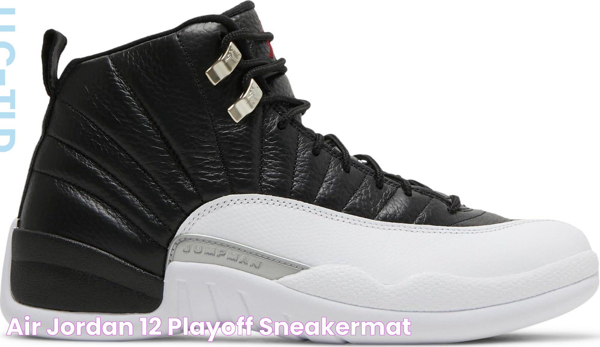 Air Jordan 12 Playoff SneakerMat