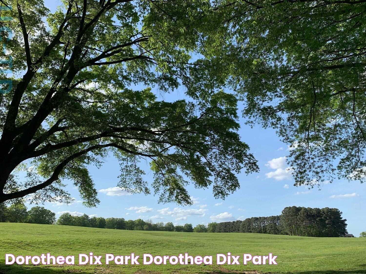 Rich History And Modern Marvels: Dix Park, Raleigh's Urban Oasis