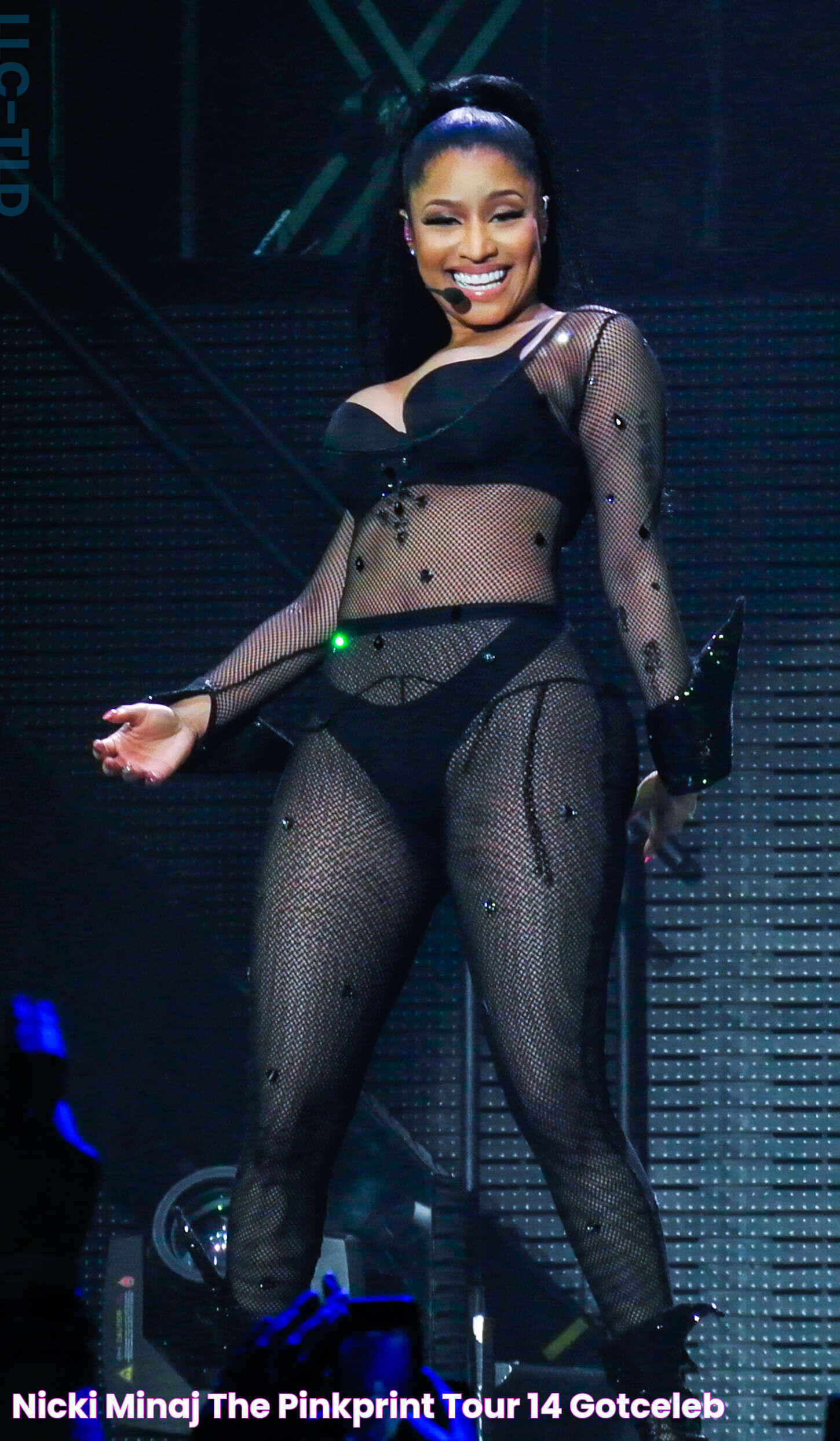 Nicki Minaj The Pinkprint Tour 14 GotCeleb