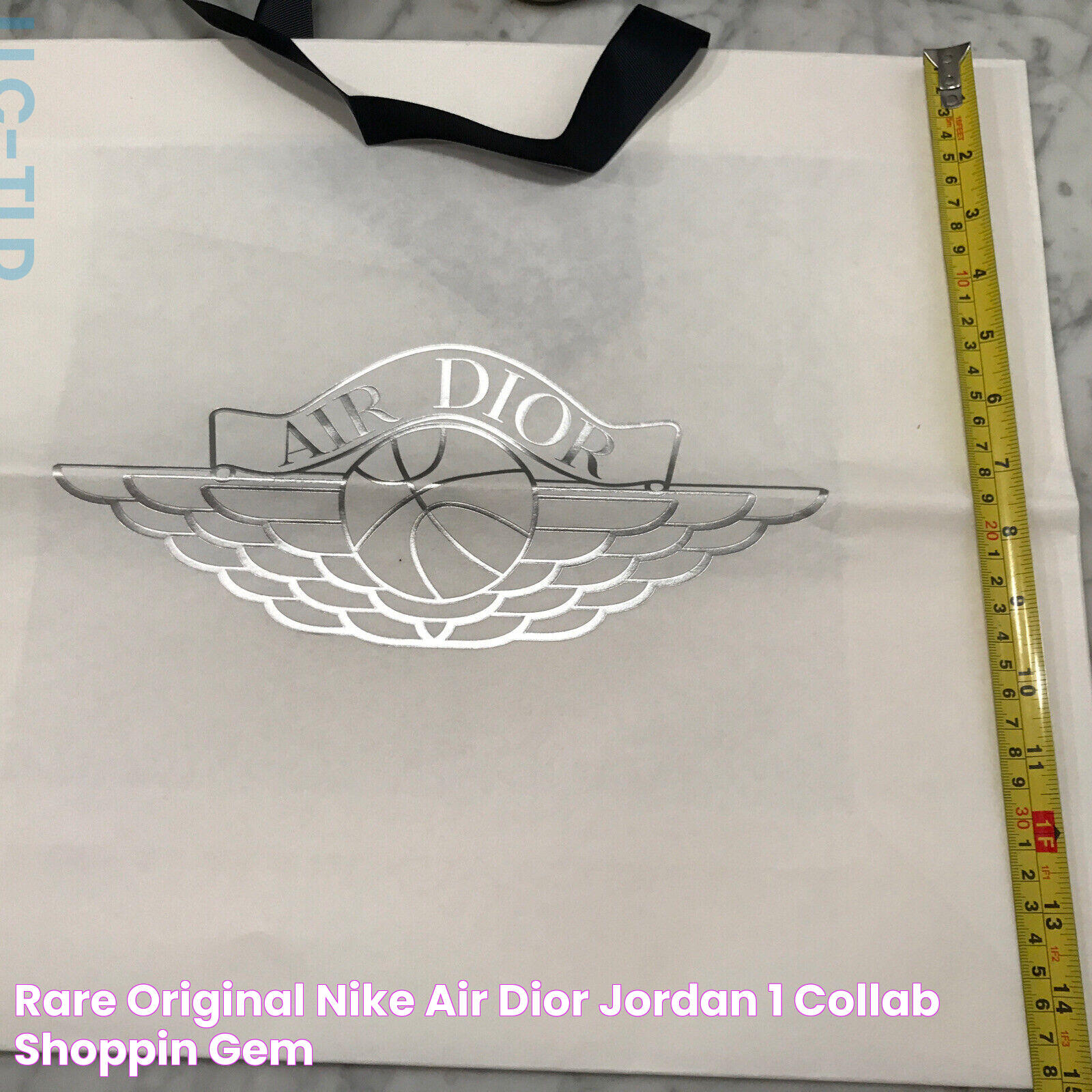 RARE!! Original Nike Air Dior Jordan 1 Collab Shoppin… Gem