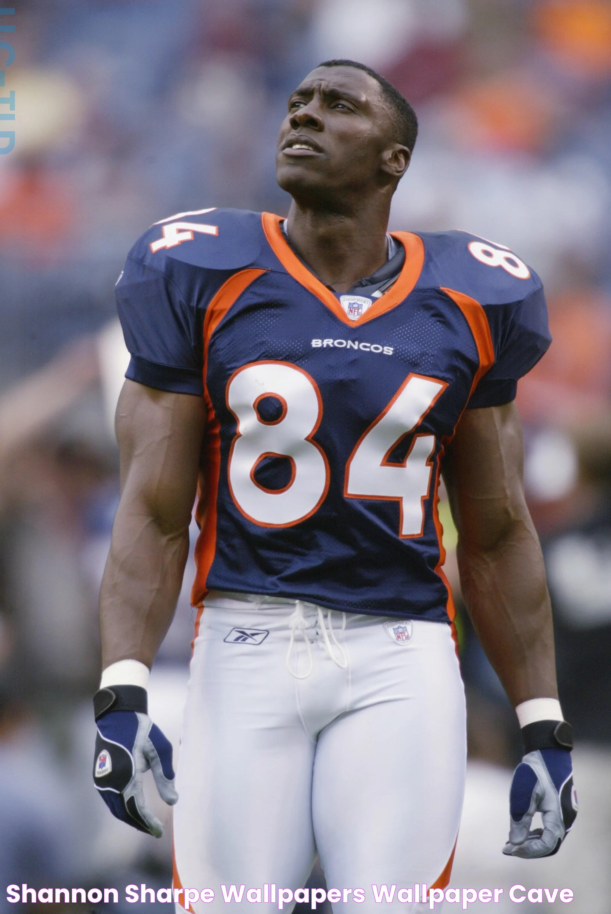 Intriguing Aspects Of Shannon Sharpe's Life And Career