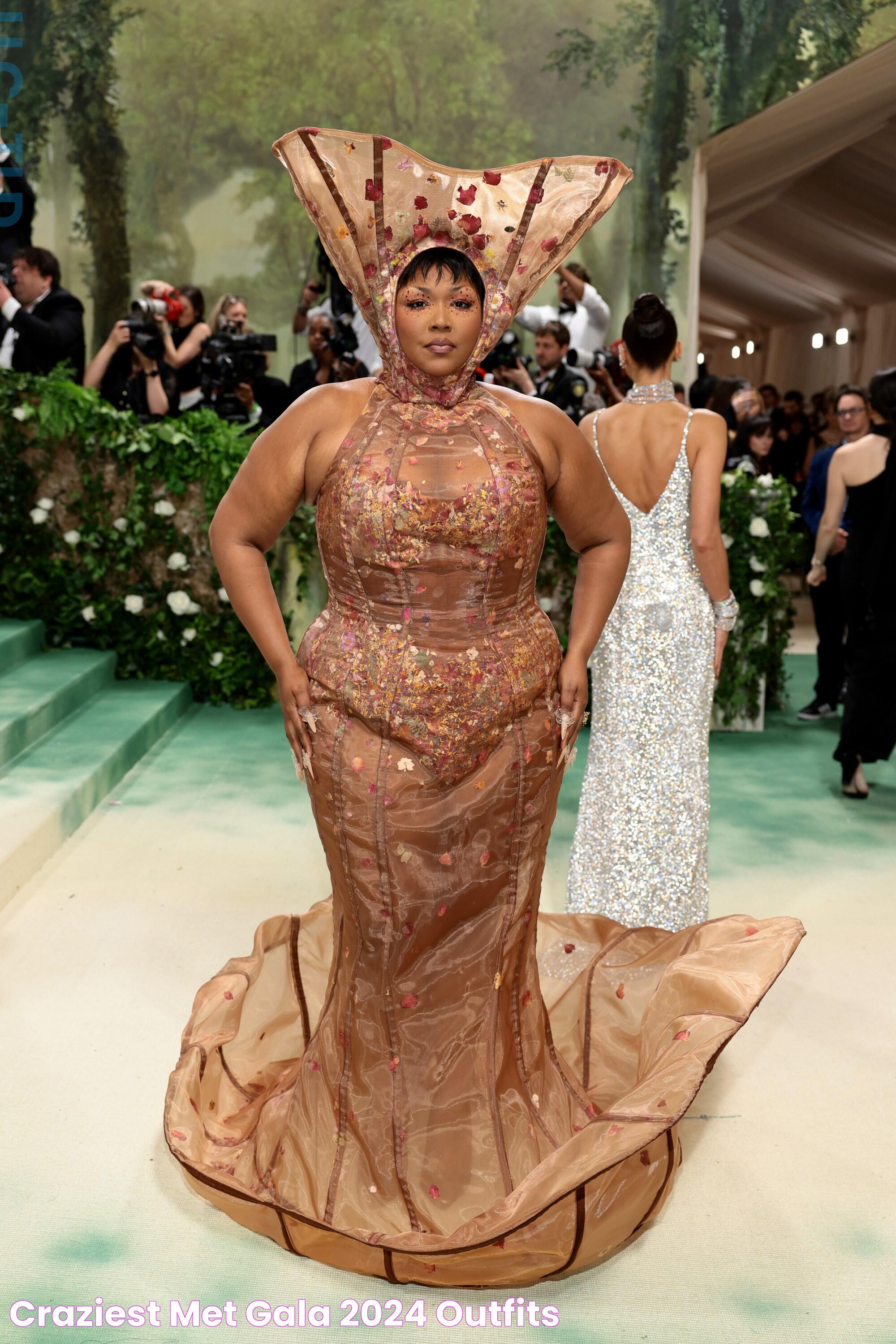 Craziest Met Gala 2024 Outfits